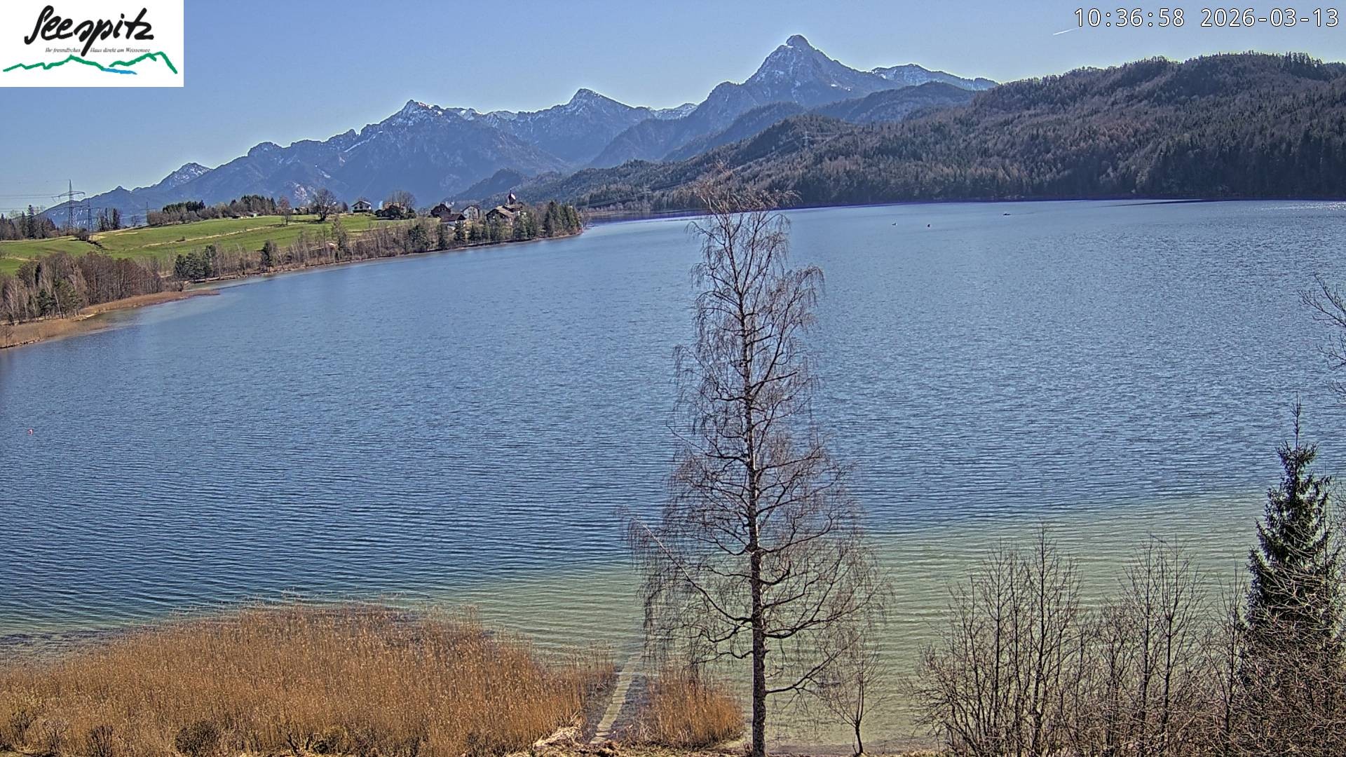 Archived image Webcam Weissensee near Füssen