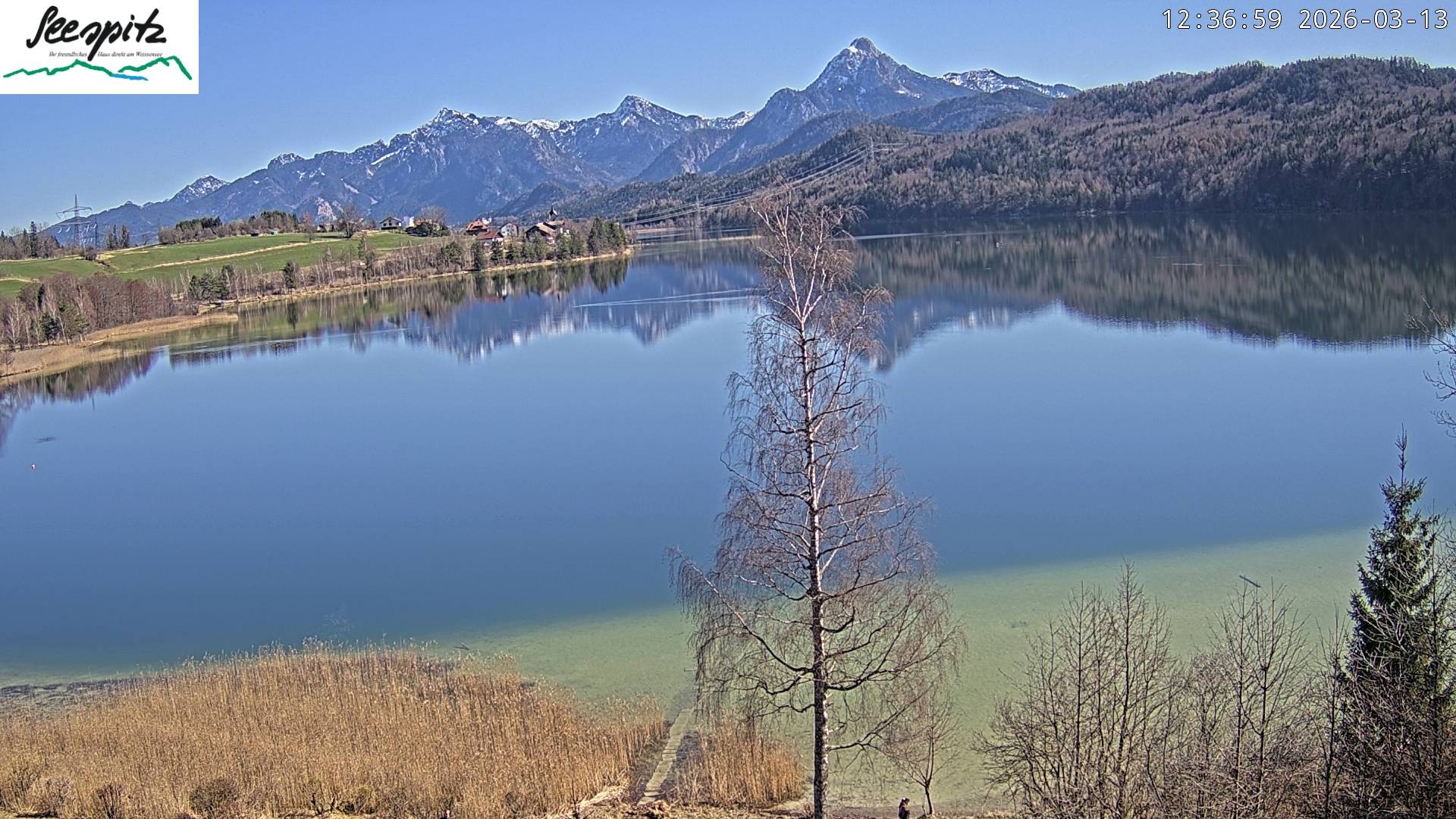 Archived image Webcam Weissensee near Füssen