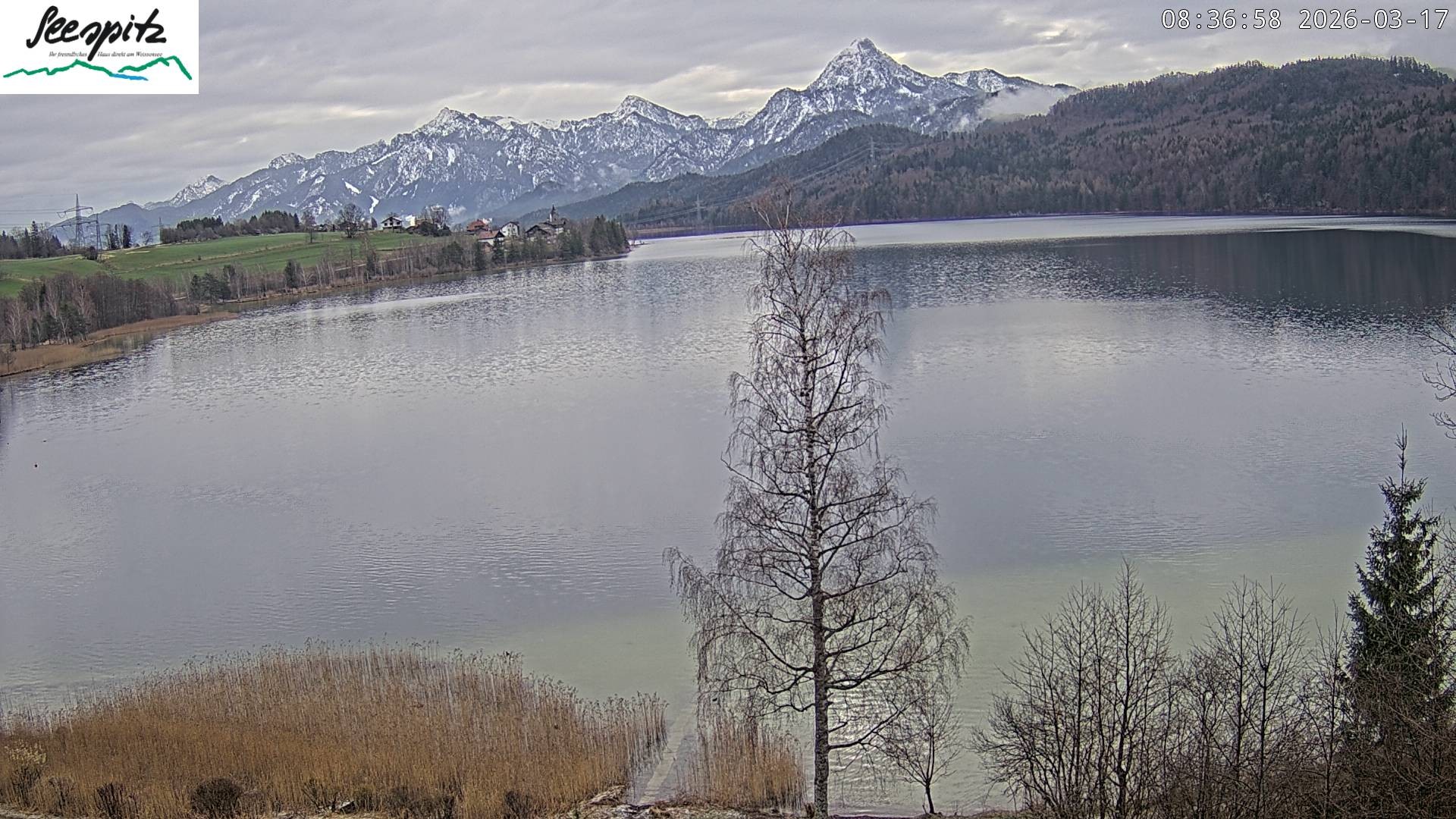 Archiv Foto Webcam Füssen: Blick auf den Weißensee vom Hotel Seespitz