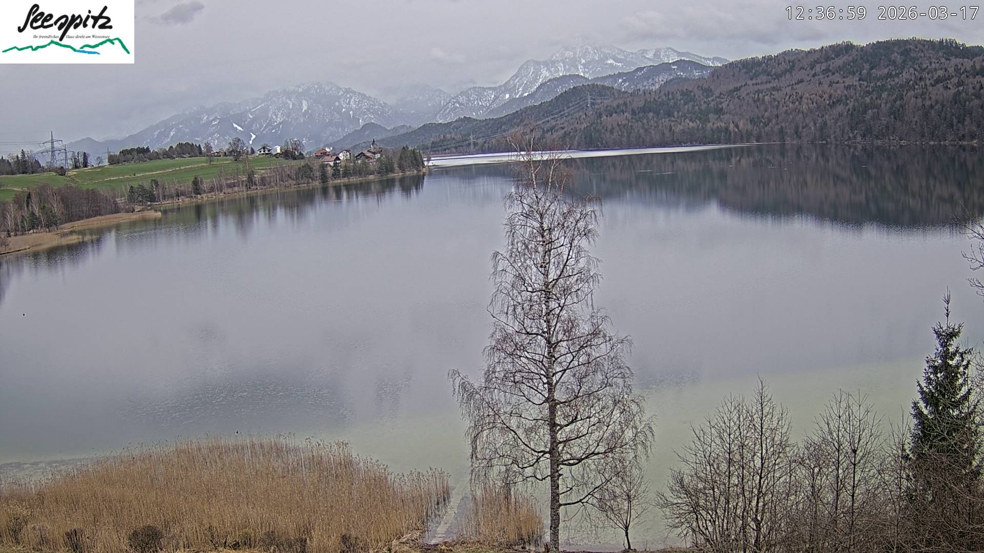 Archiv Foto Webcam Füssen: Blick auf den Weißensee vom Hotel Seespitz