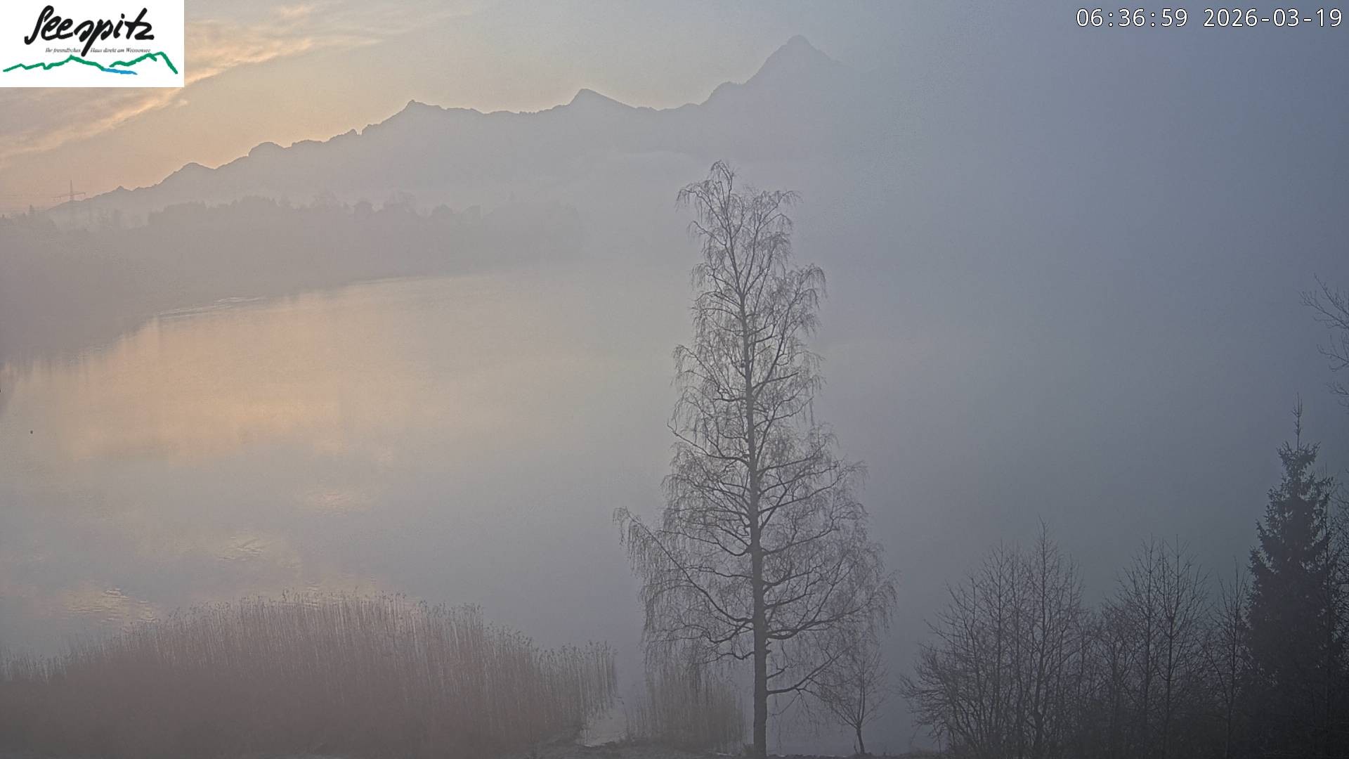 Archiv Foto Webcam Füssen: Blick auf den Weißensee vom Hotel Seespitz