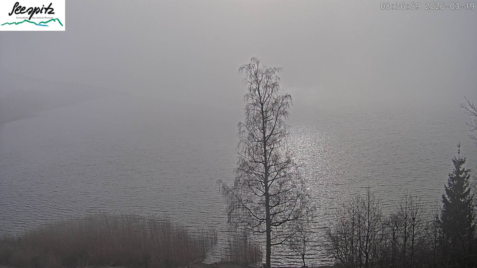 Archiv Foto Webcam Füssen: Blick auf den Weißensee vom Hotel Seespitz