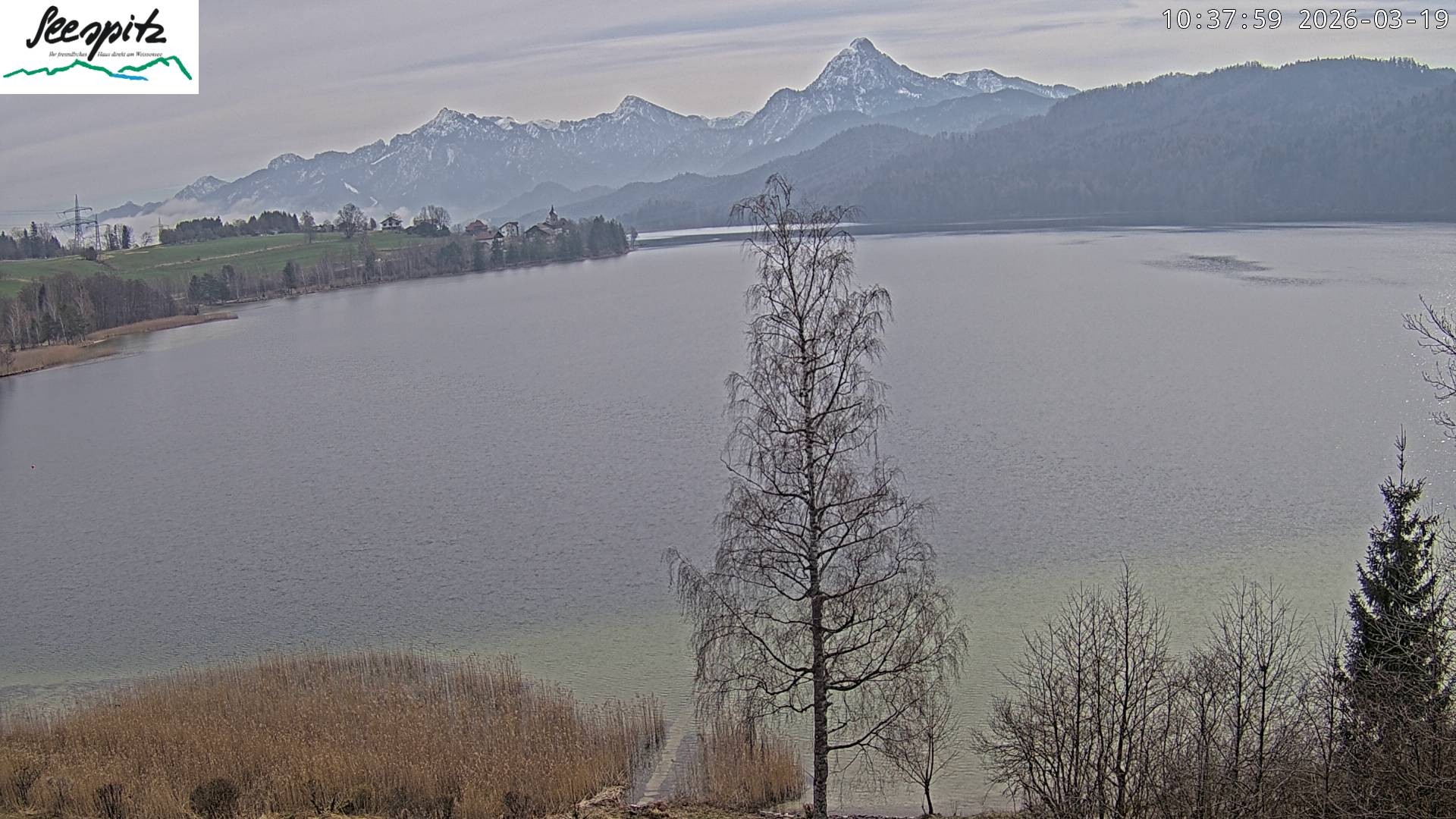 Archived image Webcam Weissensee near Füssen