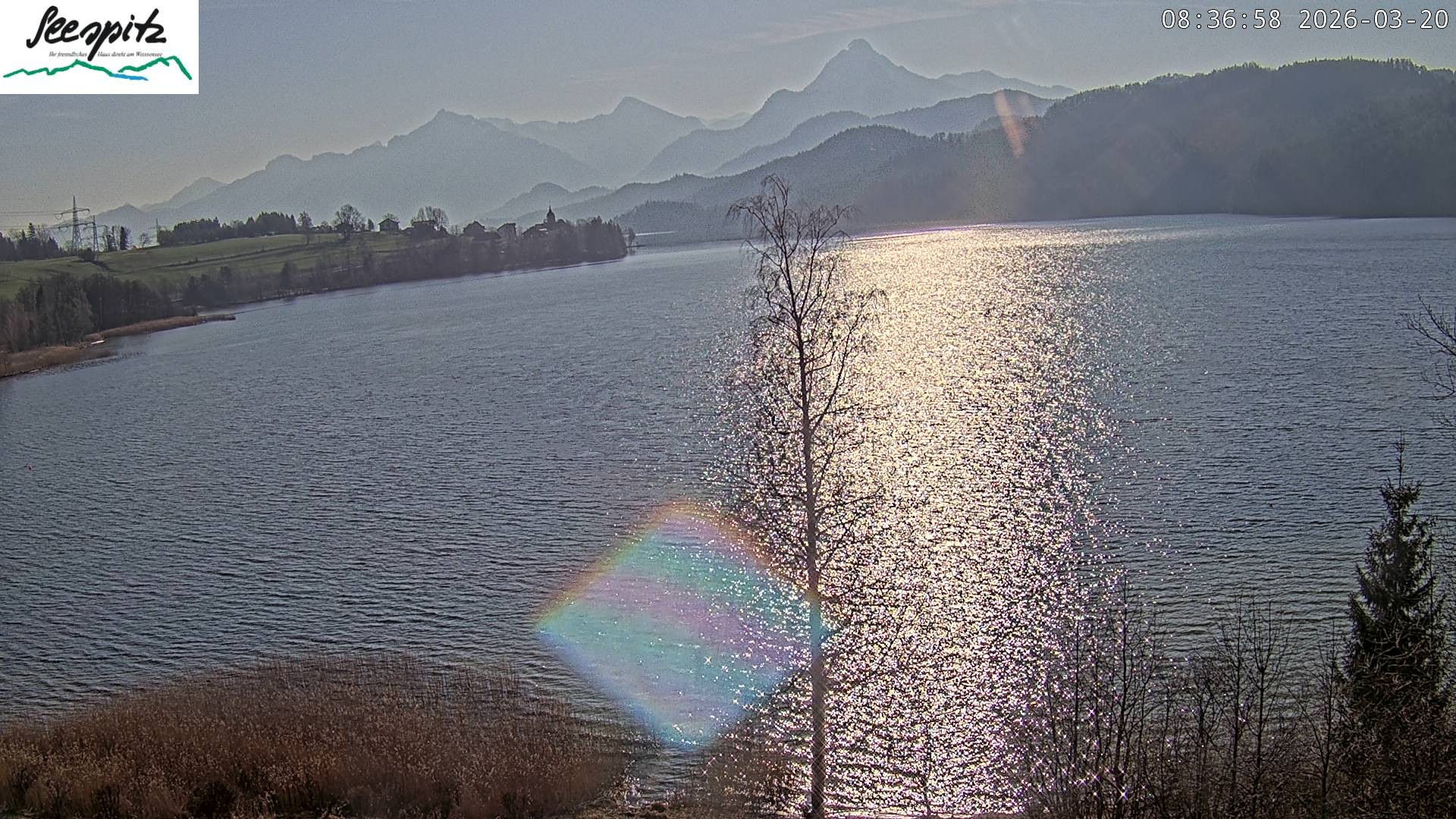 Archived image Webcam Weissensee near Füssen
