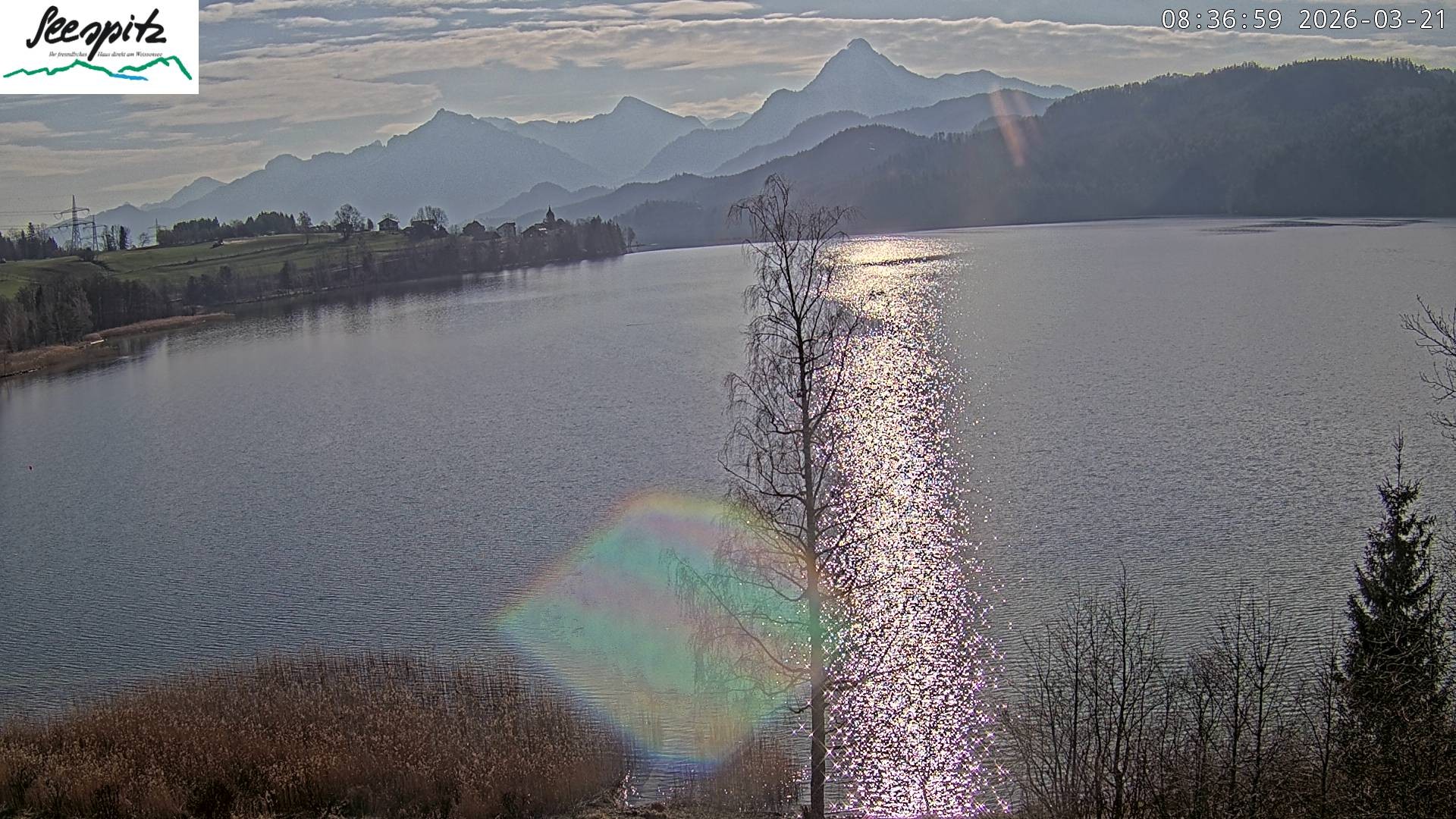 Archived image Webcam Weissensee near Füssen