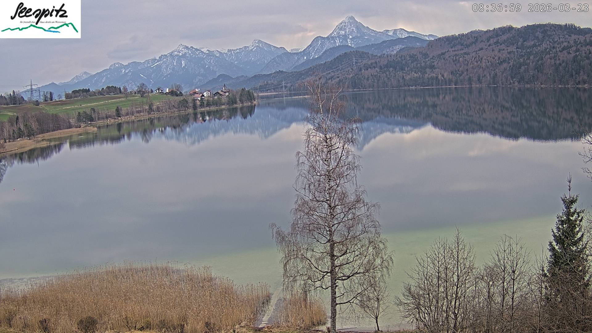 Archiv Foto Webcam Füssen: Blick auf den Weißensee vom Hotel Seespitz