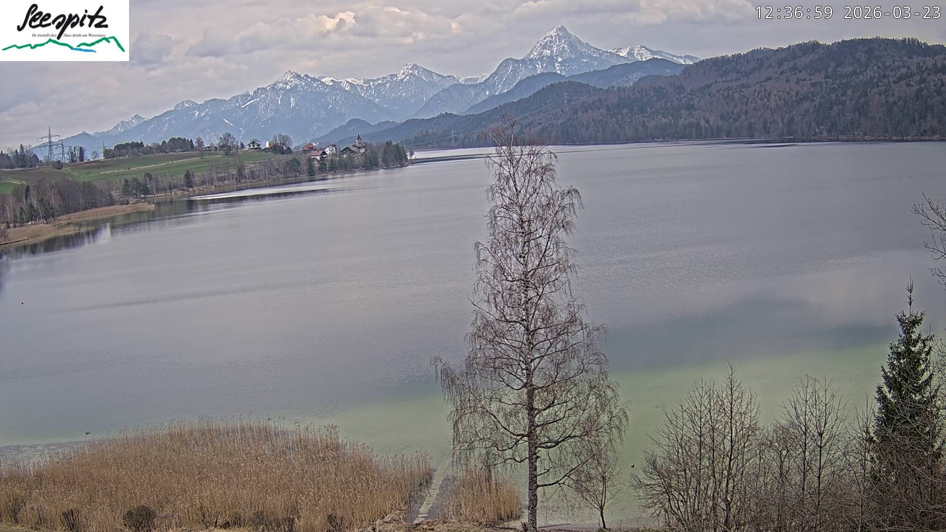 Archiv Foto Webcam Füssen: Blick auf den Weißensee vom Hotel Seespitz
