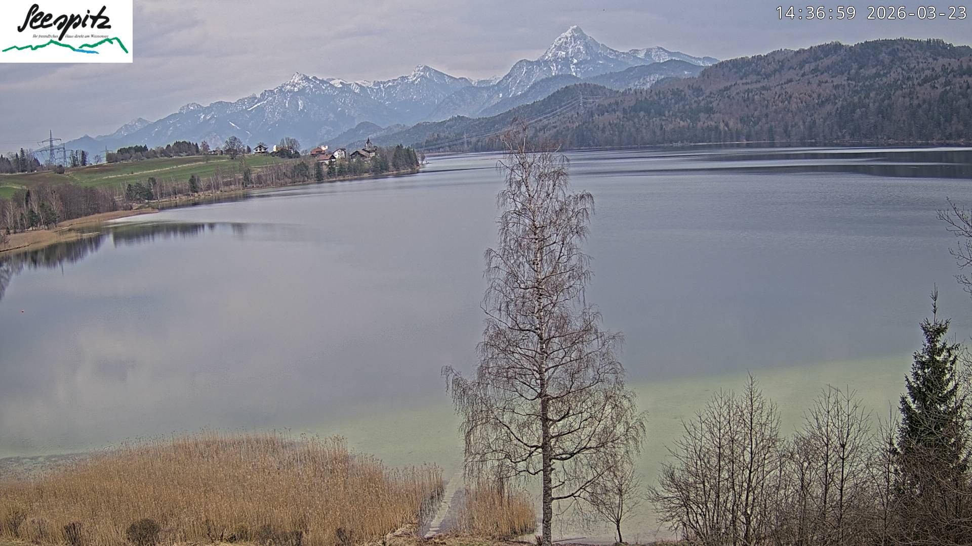 Archiv Foto Webcam Füssen: Blick auf den Weißensee vom Hotel Seespitz
