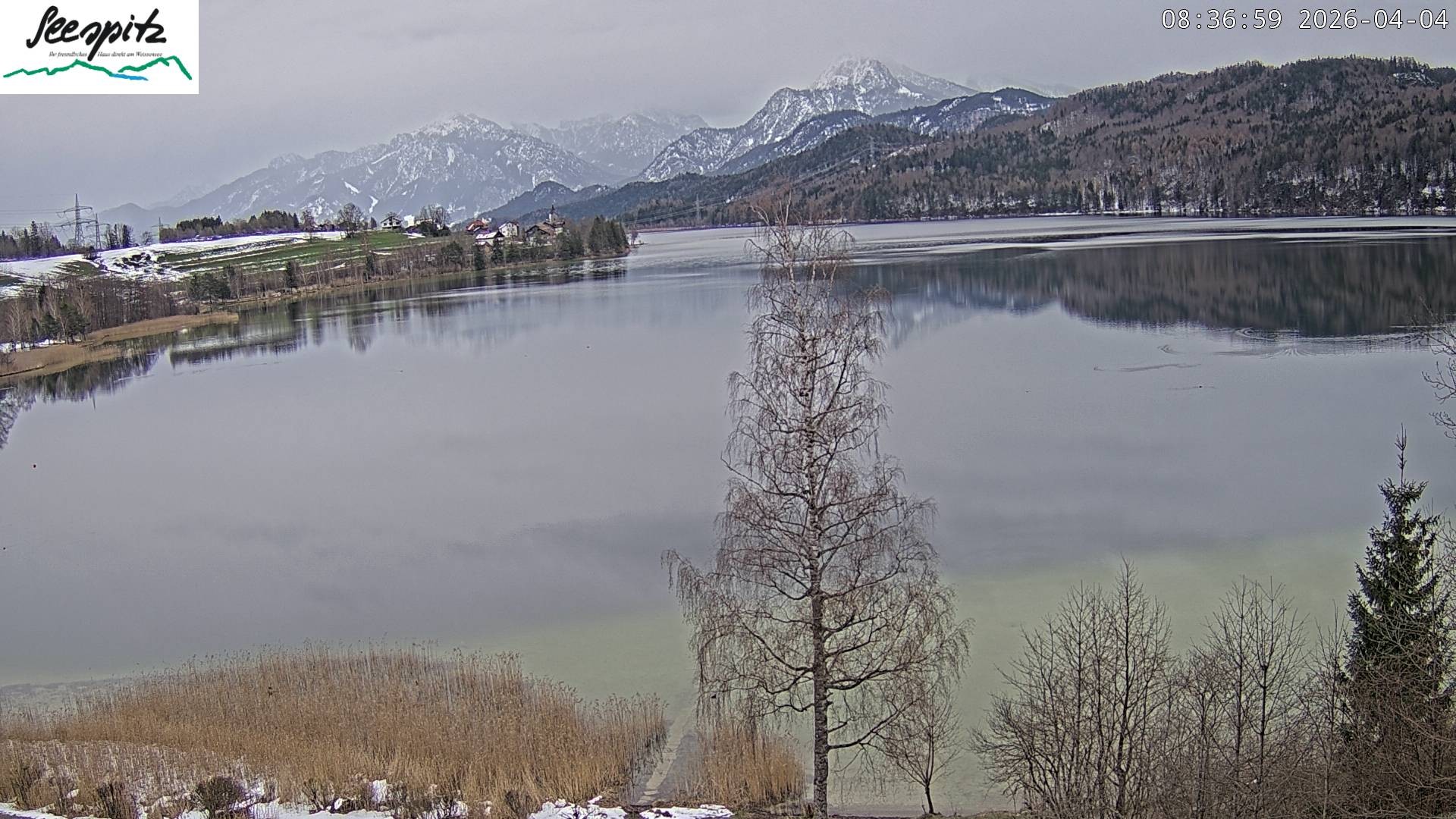 Archived image Webcam Weissensee near Füssen
