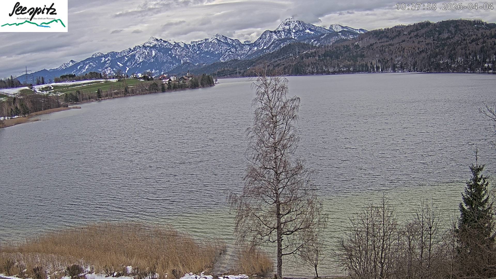 Archived image Webcam Weissensee near Füssen