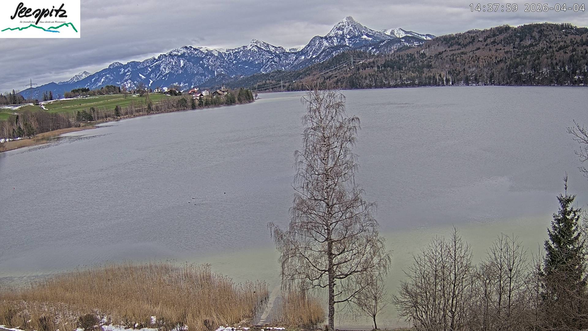 Archived image Webcam Weissensee near Füssen