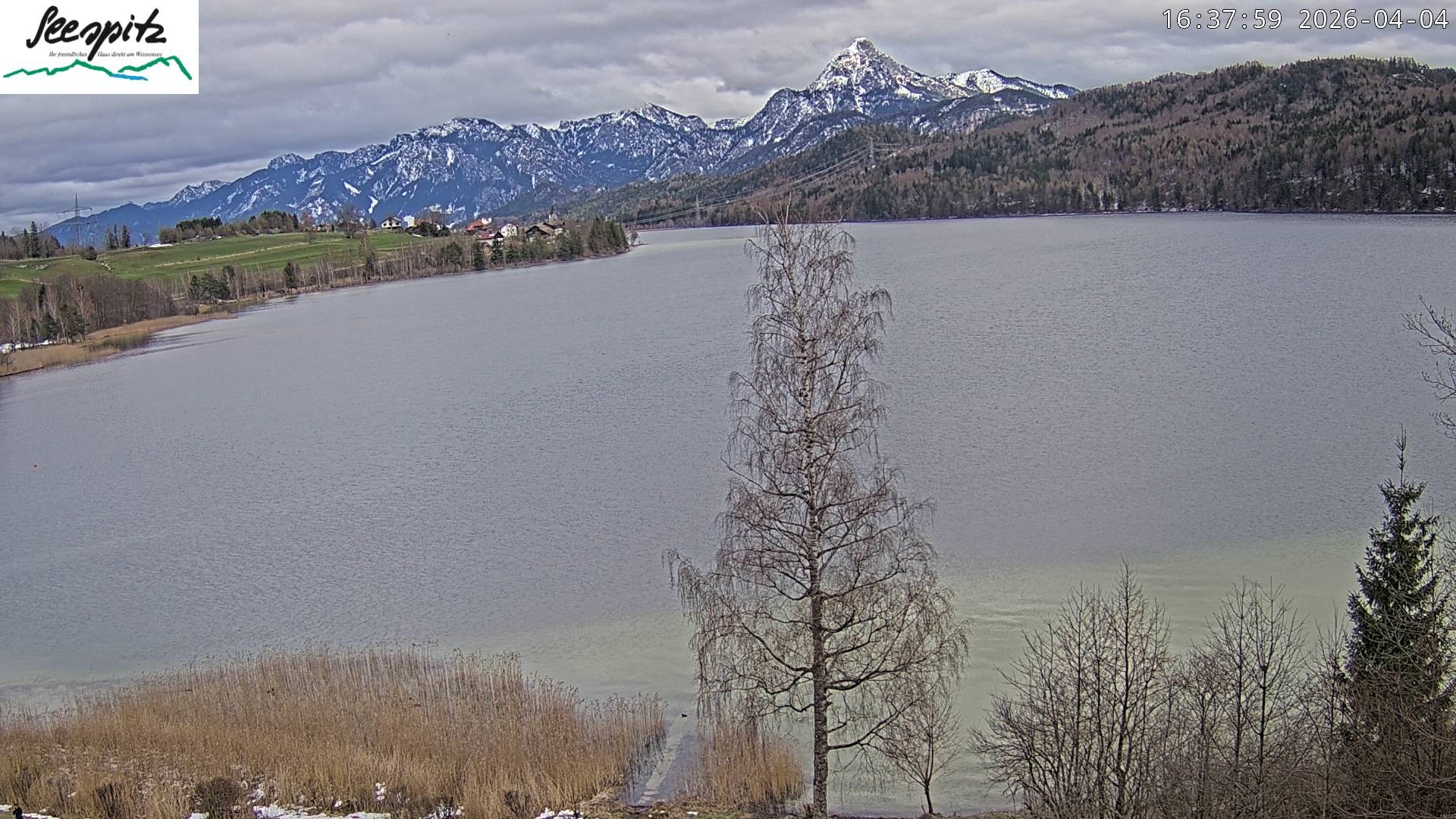 Archived image Webcam Weissensee near Füssen