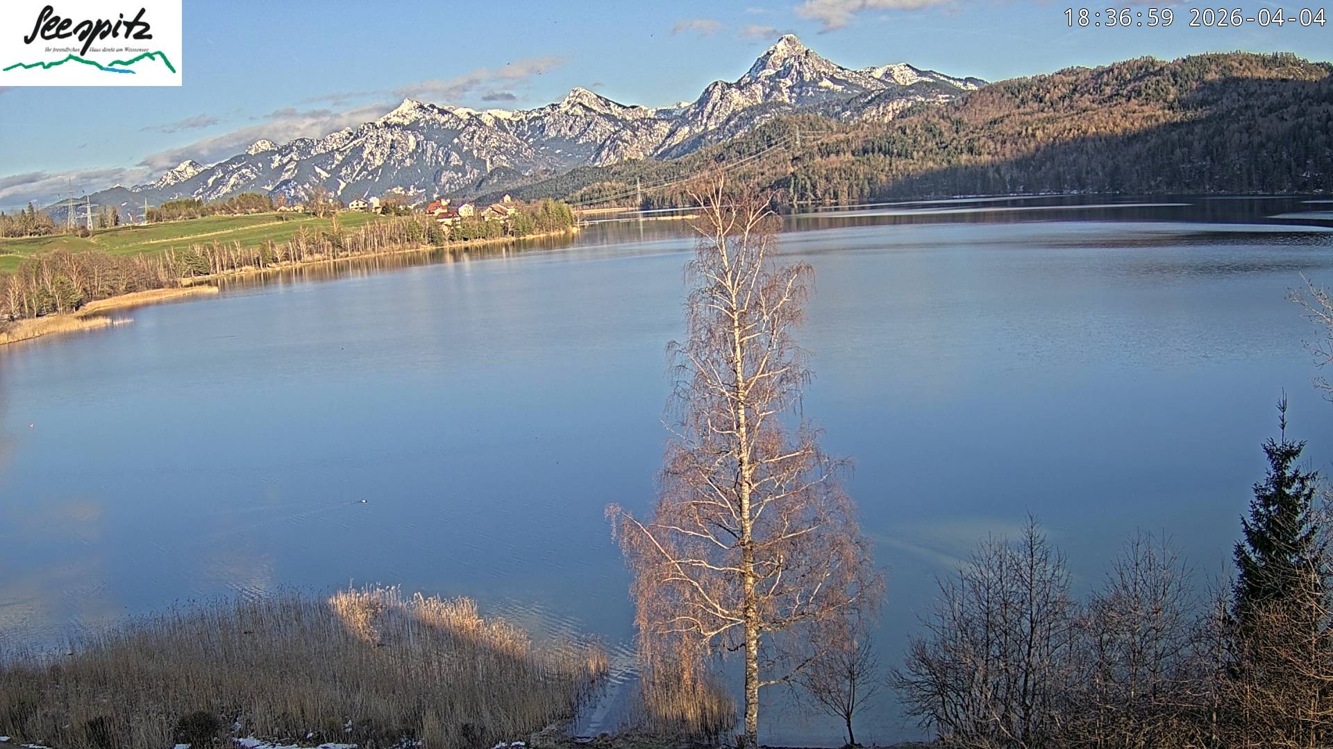 Archived image Webcam Weissensee near Füssen