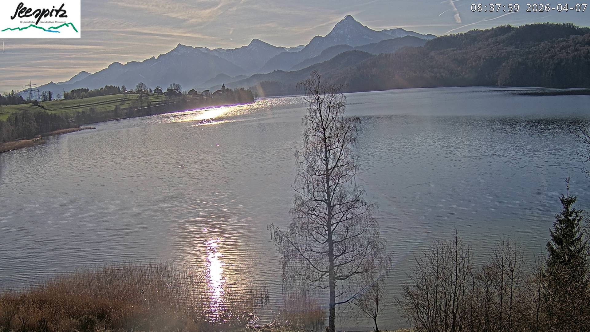 Archiv Foto Webcam Füssen: Blick auf den Weißensee vom Hotel Seespitz