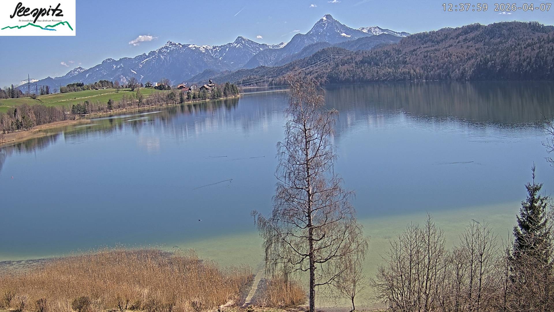Archiv Foto Webcam Füssen: Blick auf den Weißensee vom Hotel Seespitz
