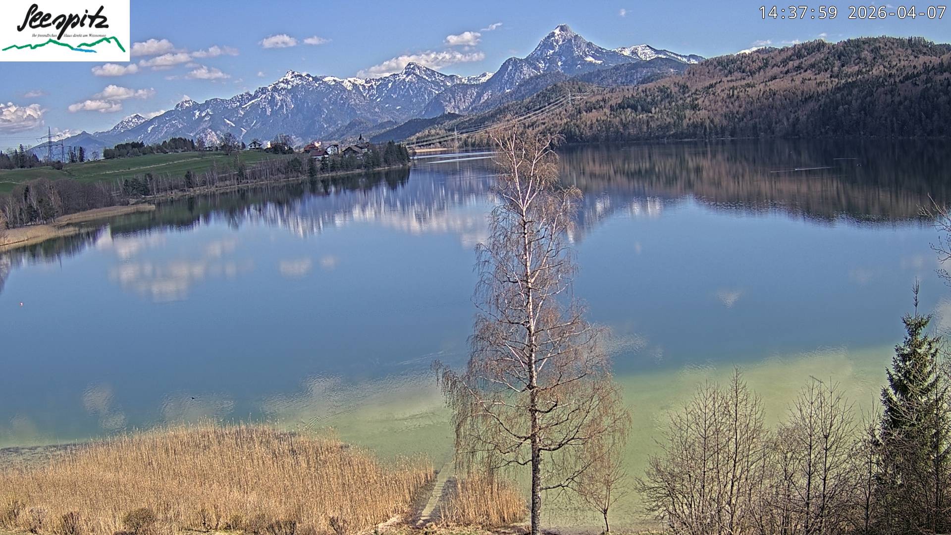 Archiv Foto Webcam Füssen: Blick auf den Weißensee vom Hotel Seespitz