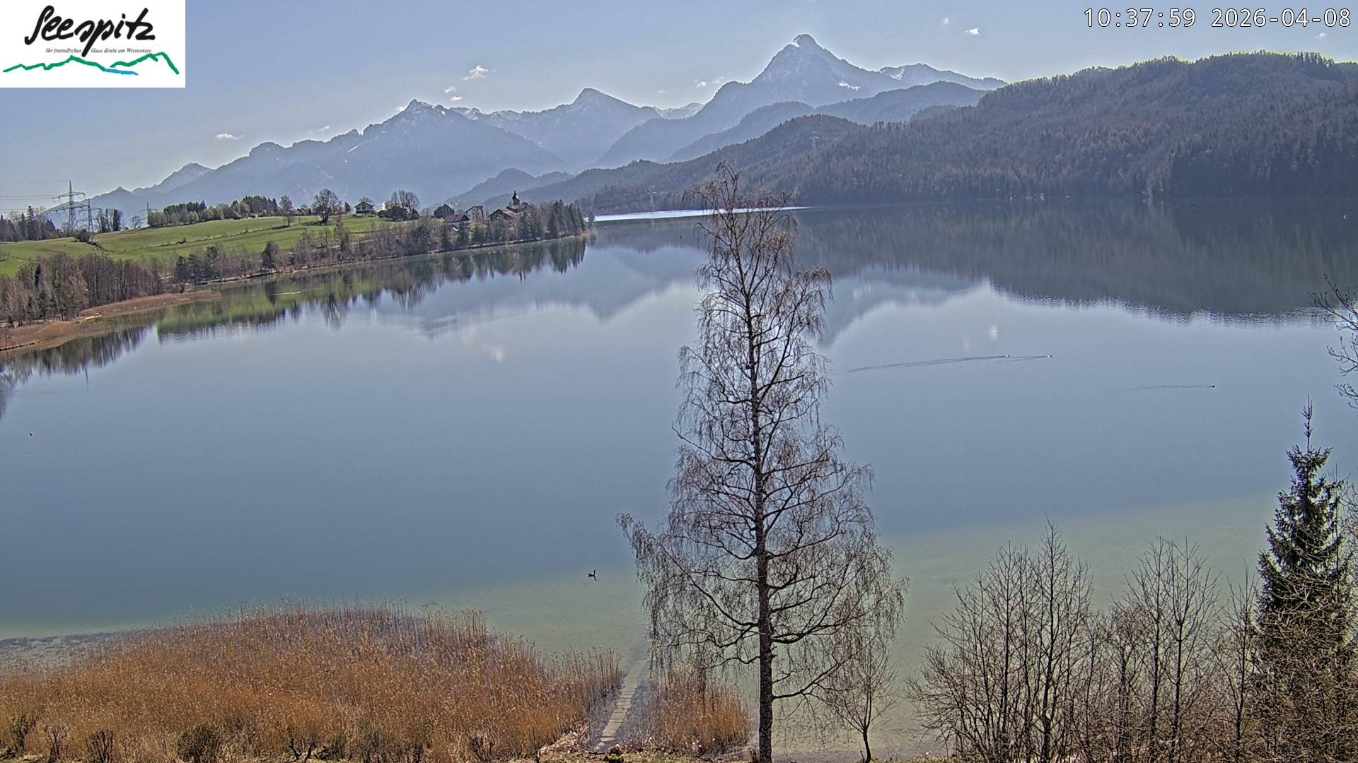 Archiv Foto Webcam Füssen: Blick auf den Weißensee vom Hotel Seespitz