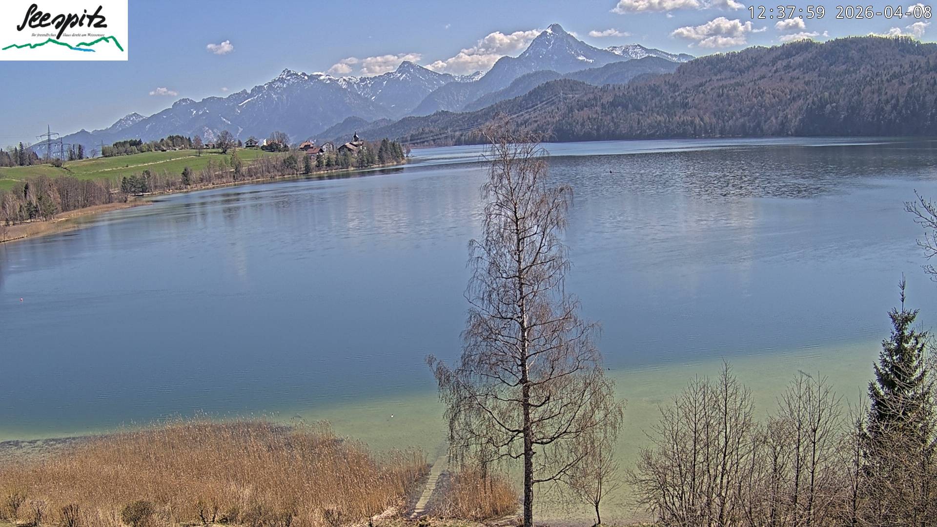 Archiv Foto Webcam Füssen: Blick auf den Weißensee vom Hotel Seespitz