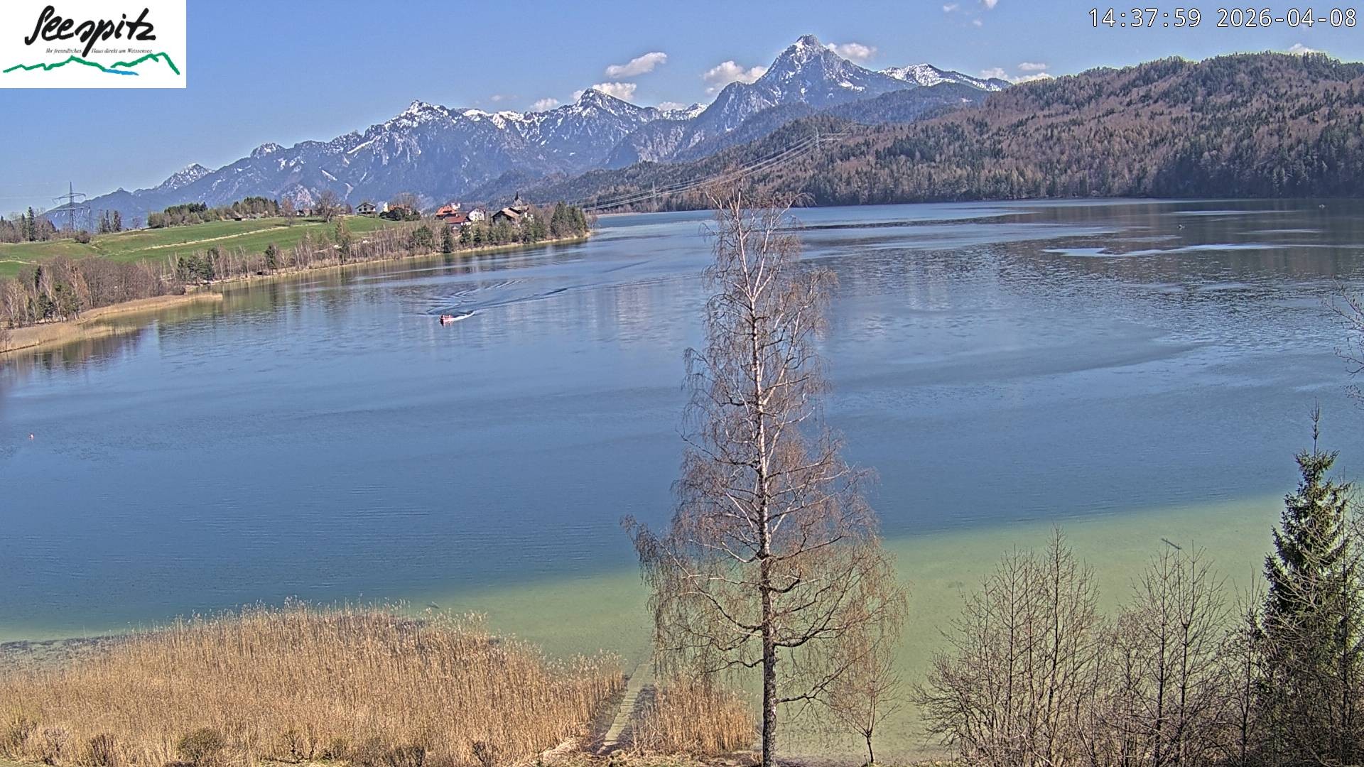 Archiv Foto Webcam Füssen: Blick auf den Weißensee vom Hotel Seespitz