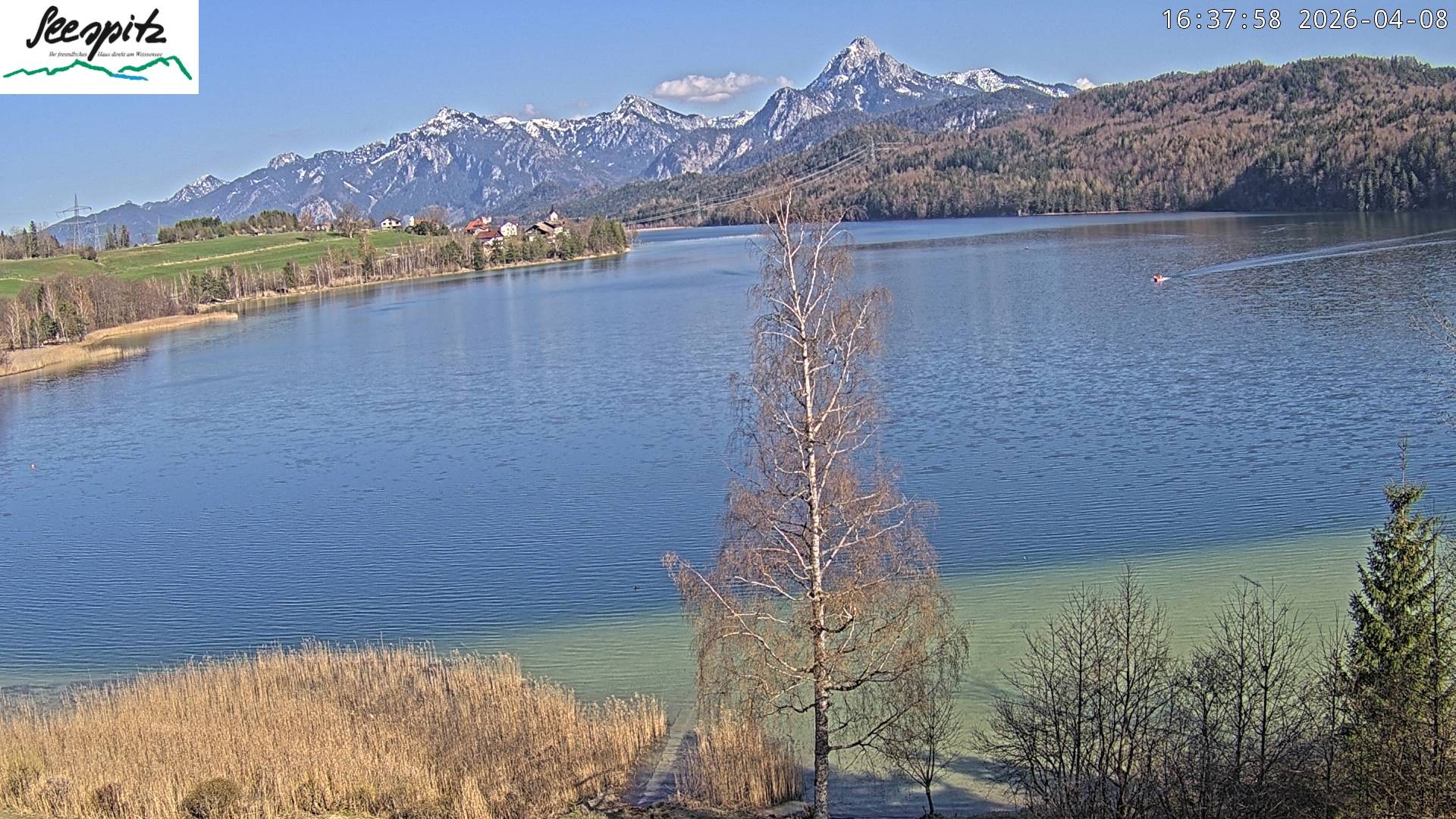 Archiv Foto Webcam Füssen: Blick auf den Weißensee vom Hotel Seespitz