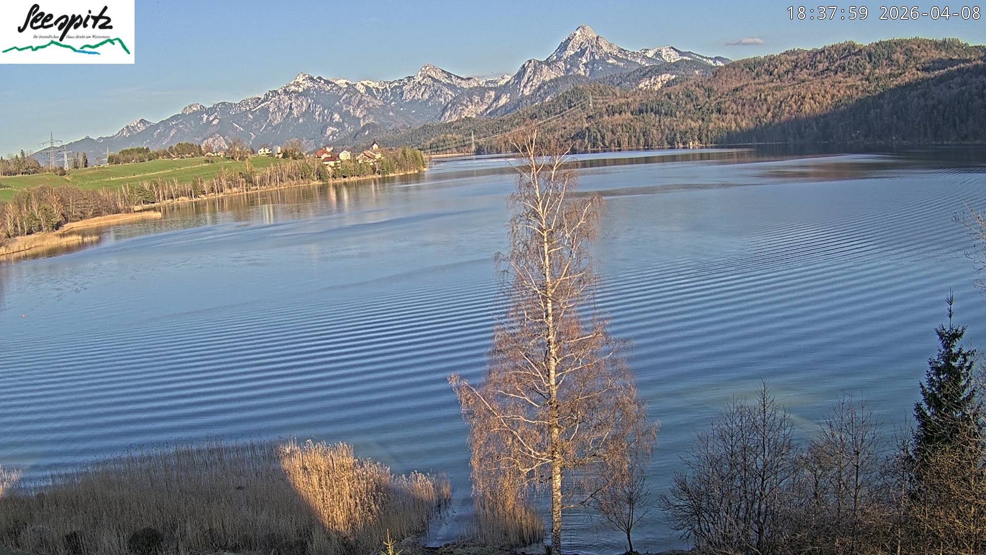 Archiv Foto Webcam Füssen: Blick auf den Weißensee vom Hotel Seespitz