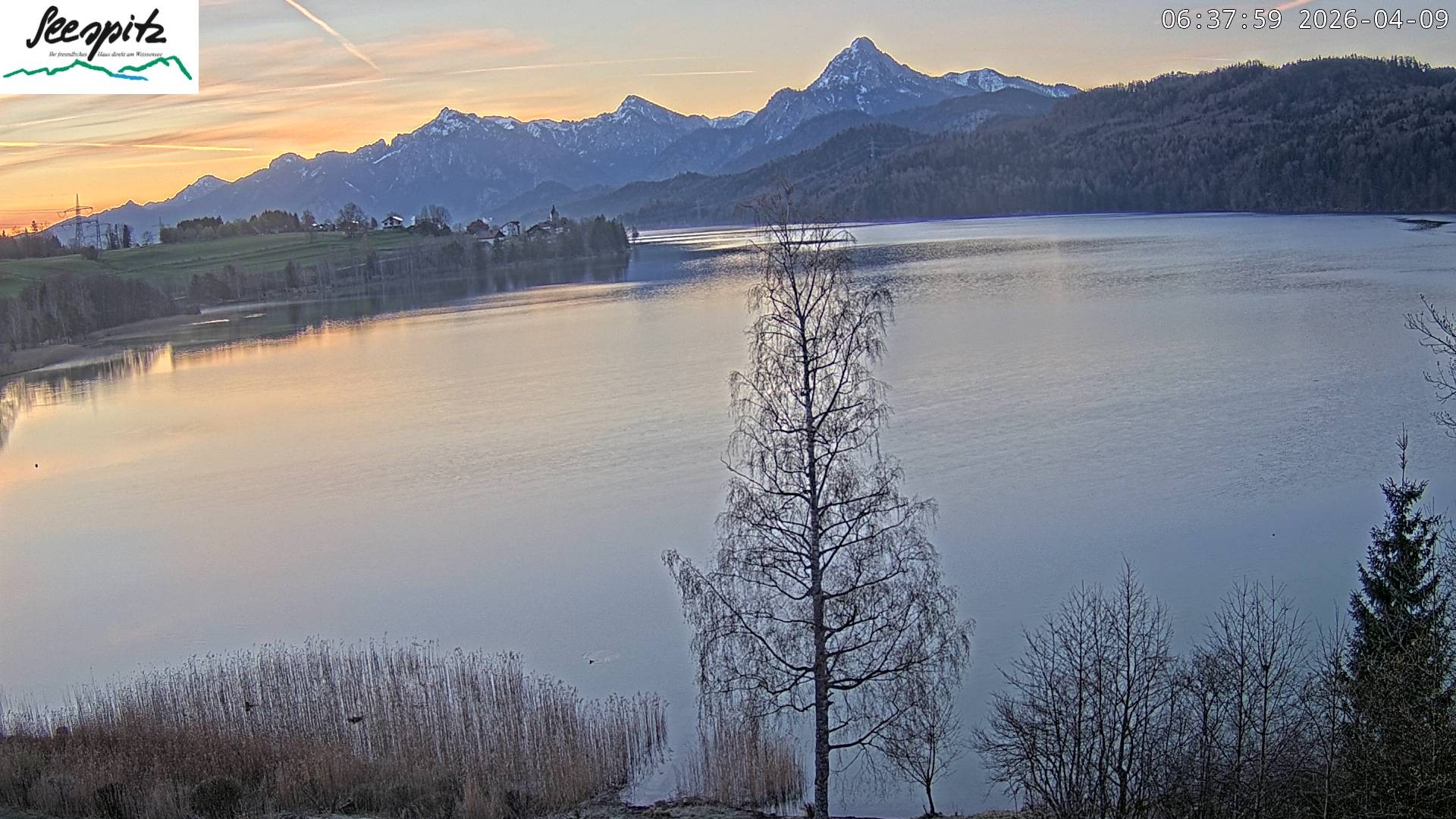 Archived image Webcam Weissensee near Füssen