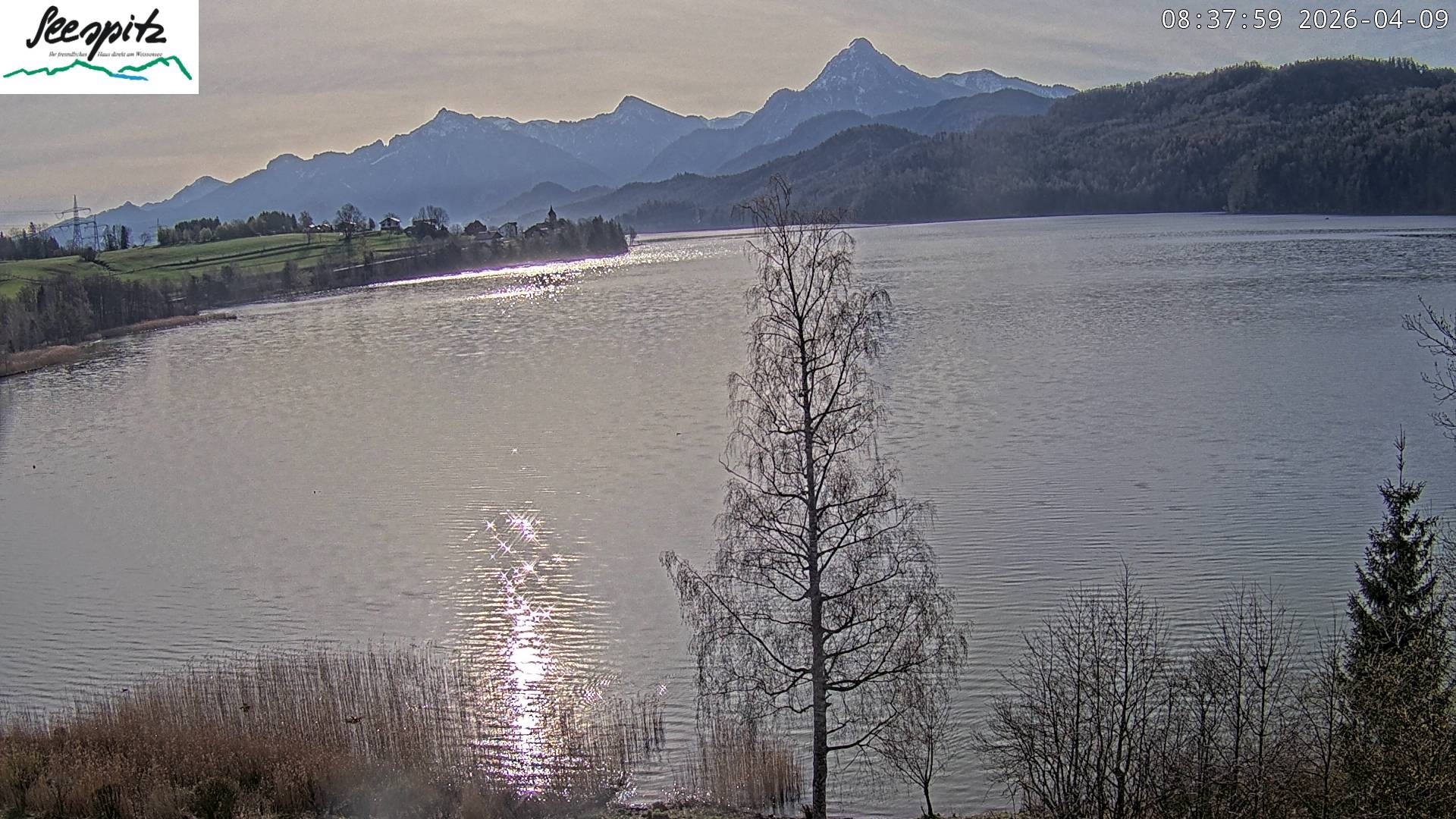 Archived image Webcam Weissensee near Füssen