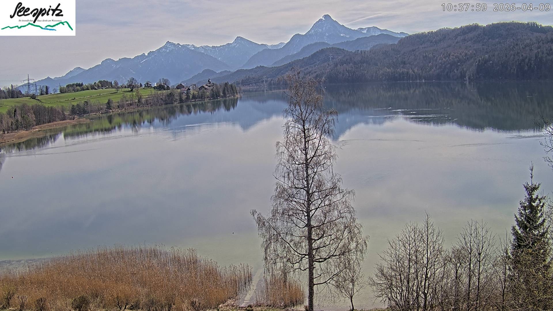 Archived image Webcam Weissensee near Füssen