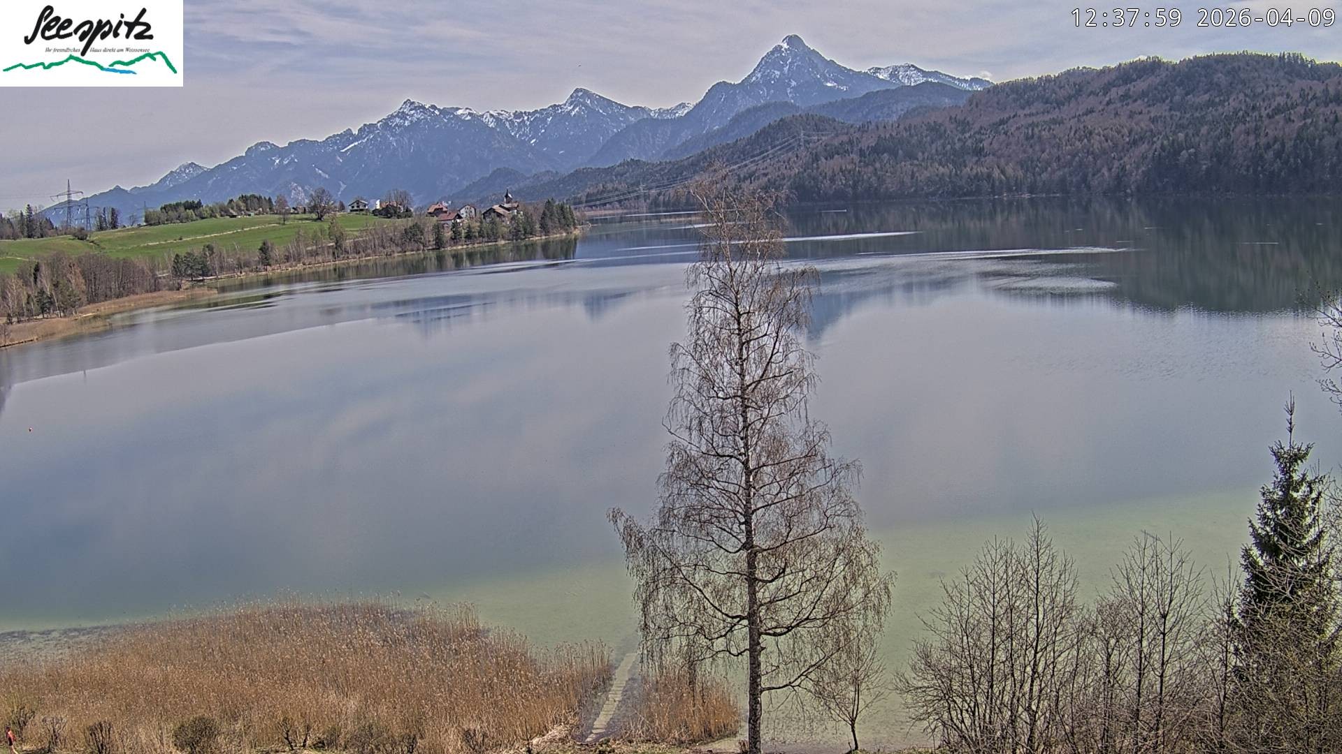Archived image Webcam Weissensee near Füssen