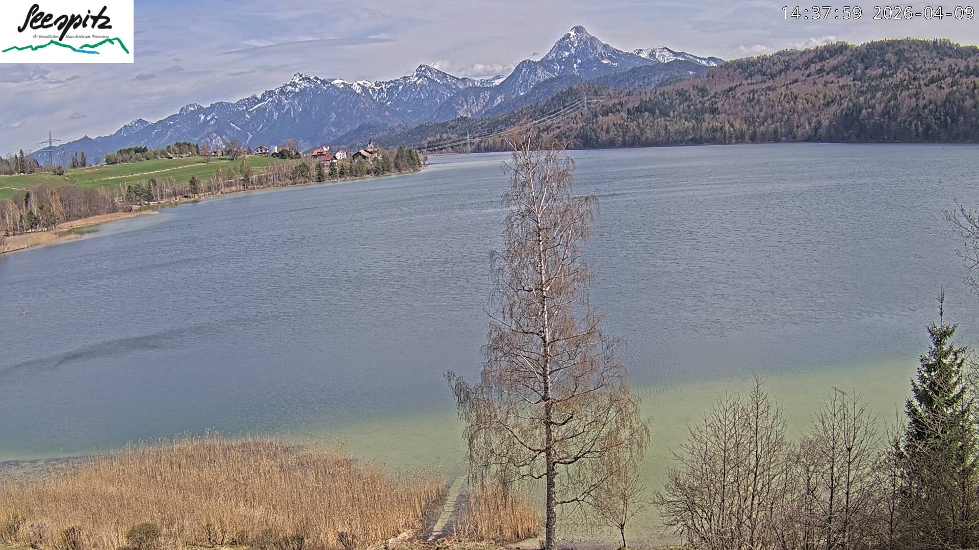 Archived image Webcam Weissensee near Füssen