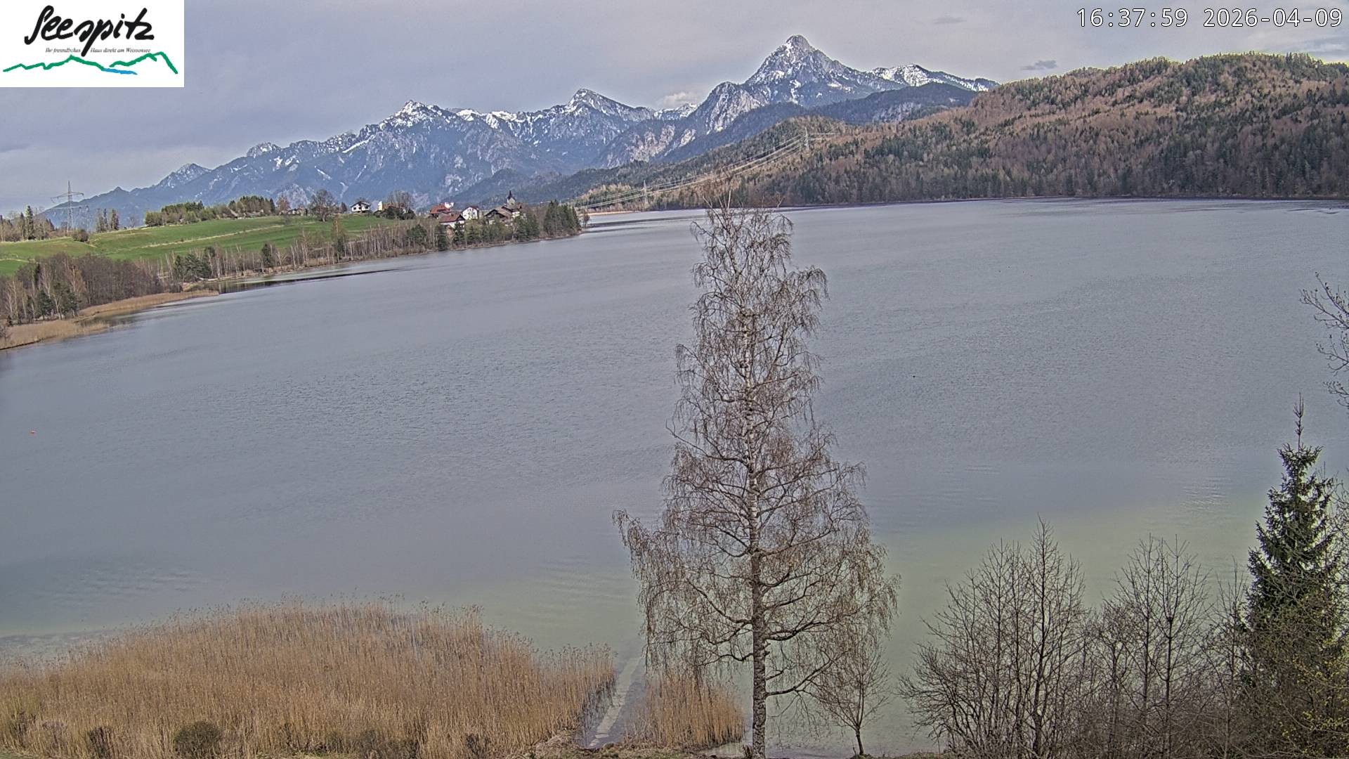 Archiv Foto Webcam Füssen: Blick auf den Weißensee vom Hotel Seespitz