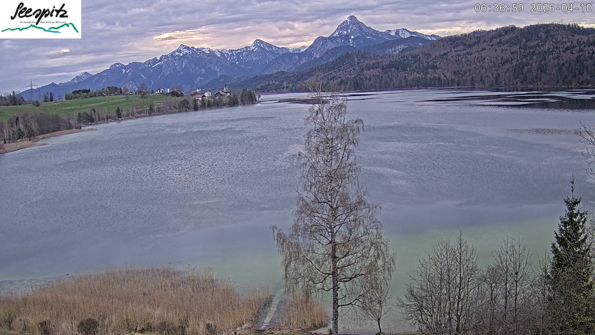 Archived image Webcam Weissensee near Füssen