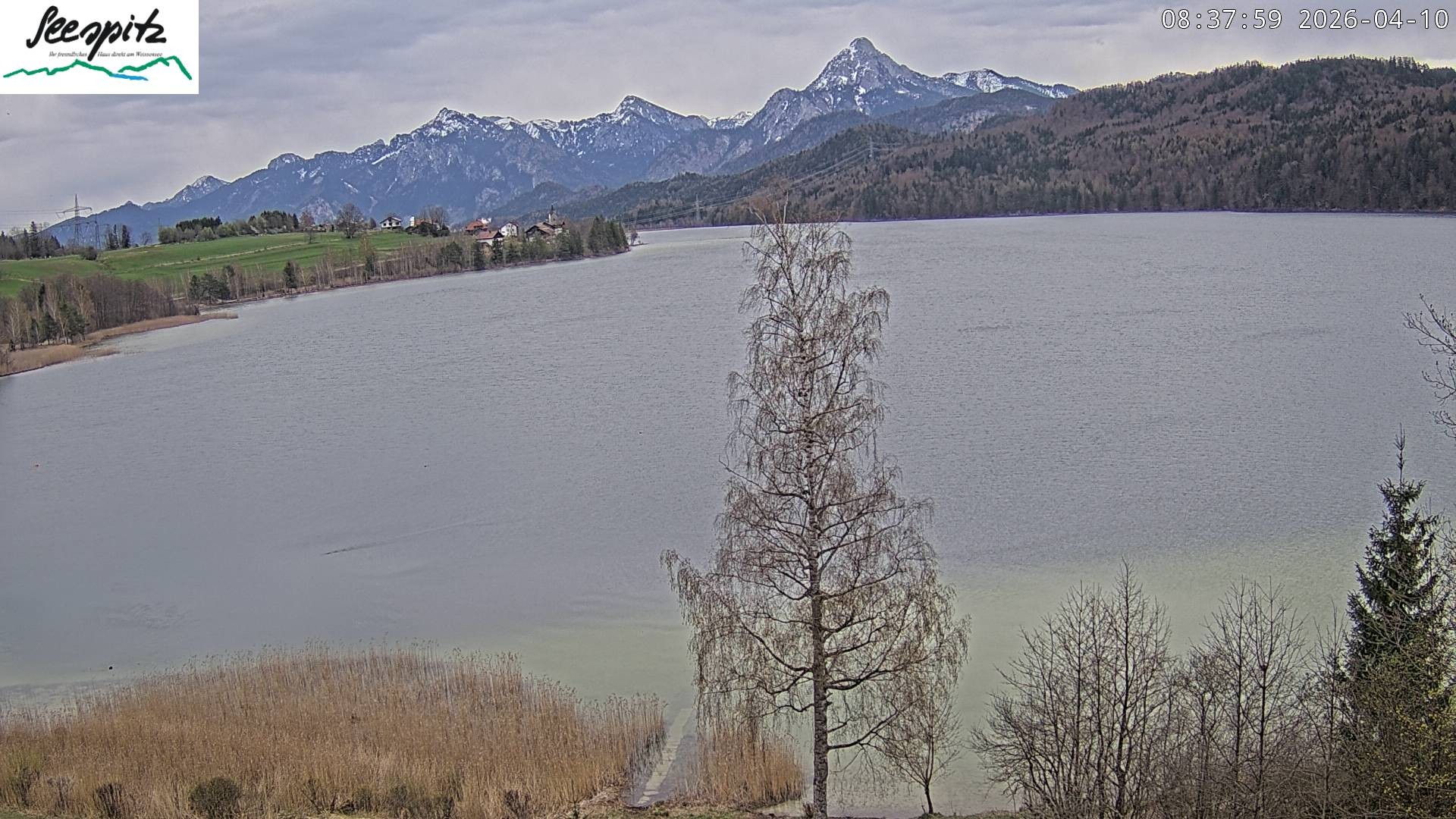 Archived image Webcam Weissensee near Füssen