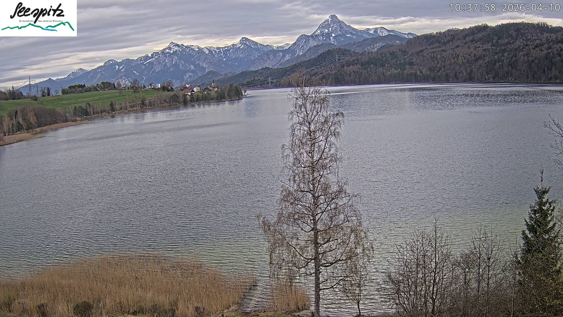 Archived image Webcam Weissensee near Füssen