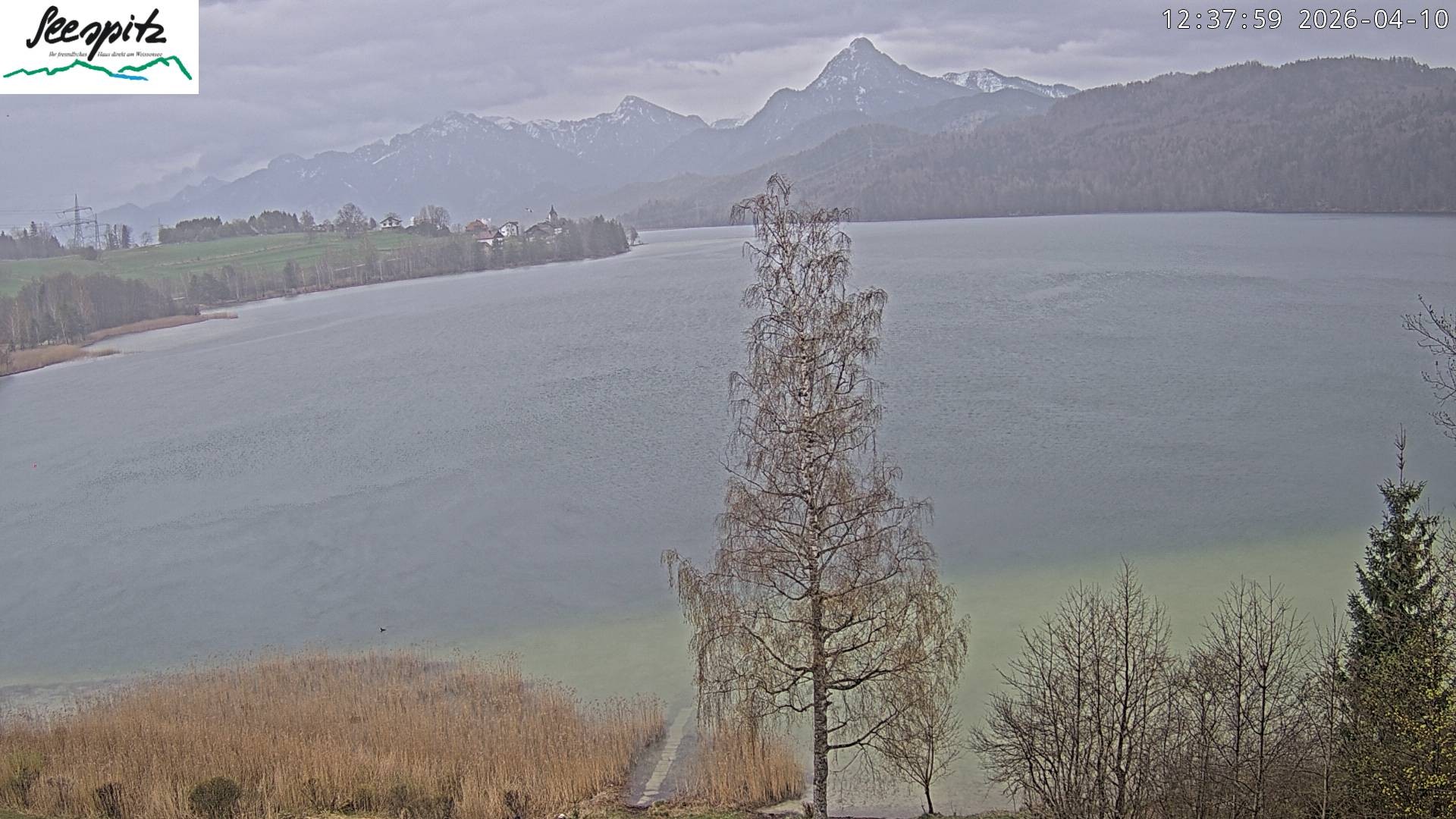 Archived image Webcam Weissensee near Füssen
