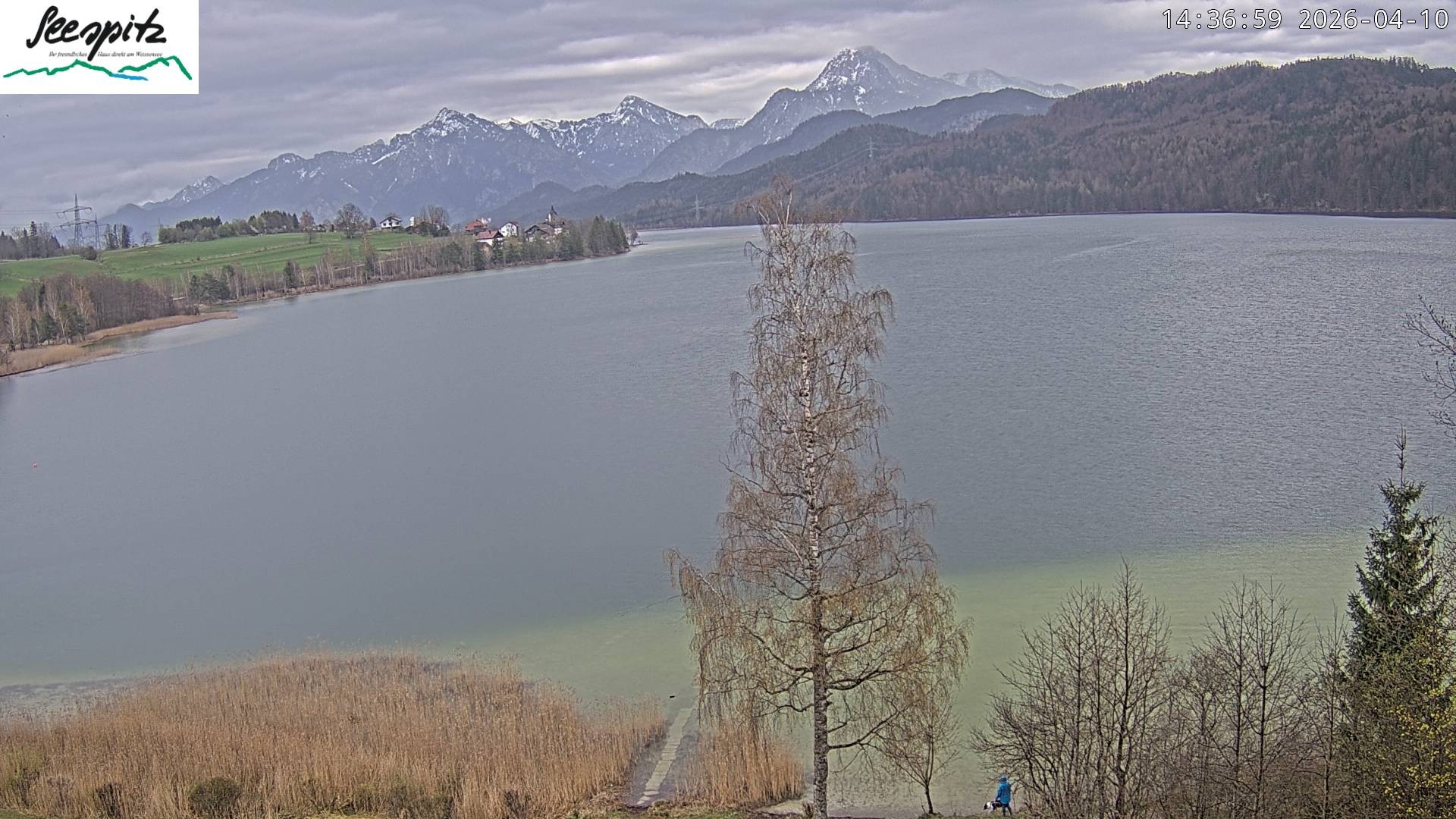 Archived image Webcam Weissensee near Füssen