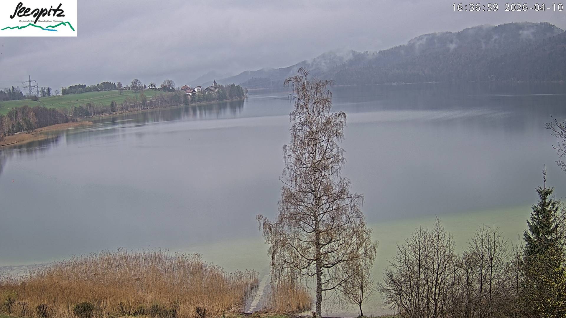 Archived image Webcam Weissensee near Füssen