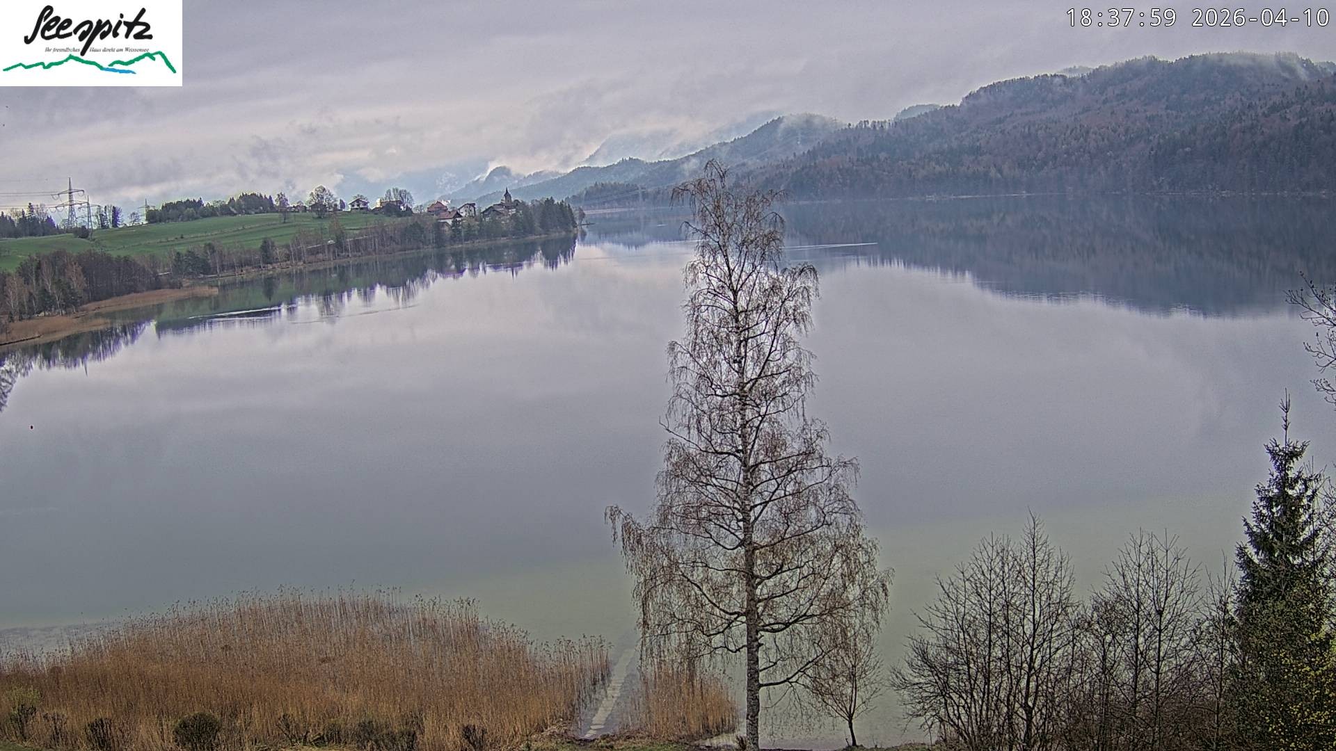 Archiv Foto Webcam Füssen: Blick auf den Weißensee vom Hotel Seespitz