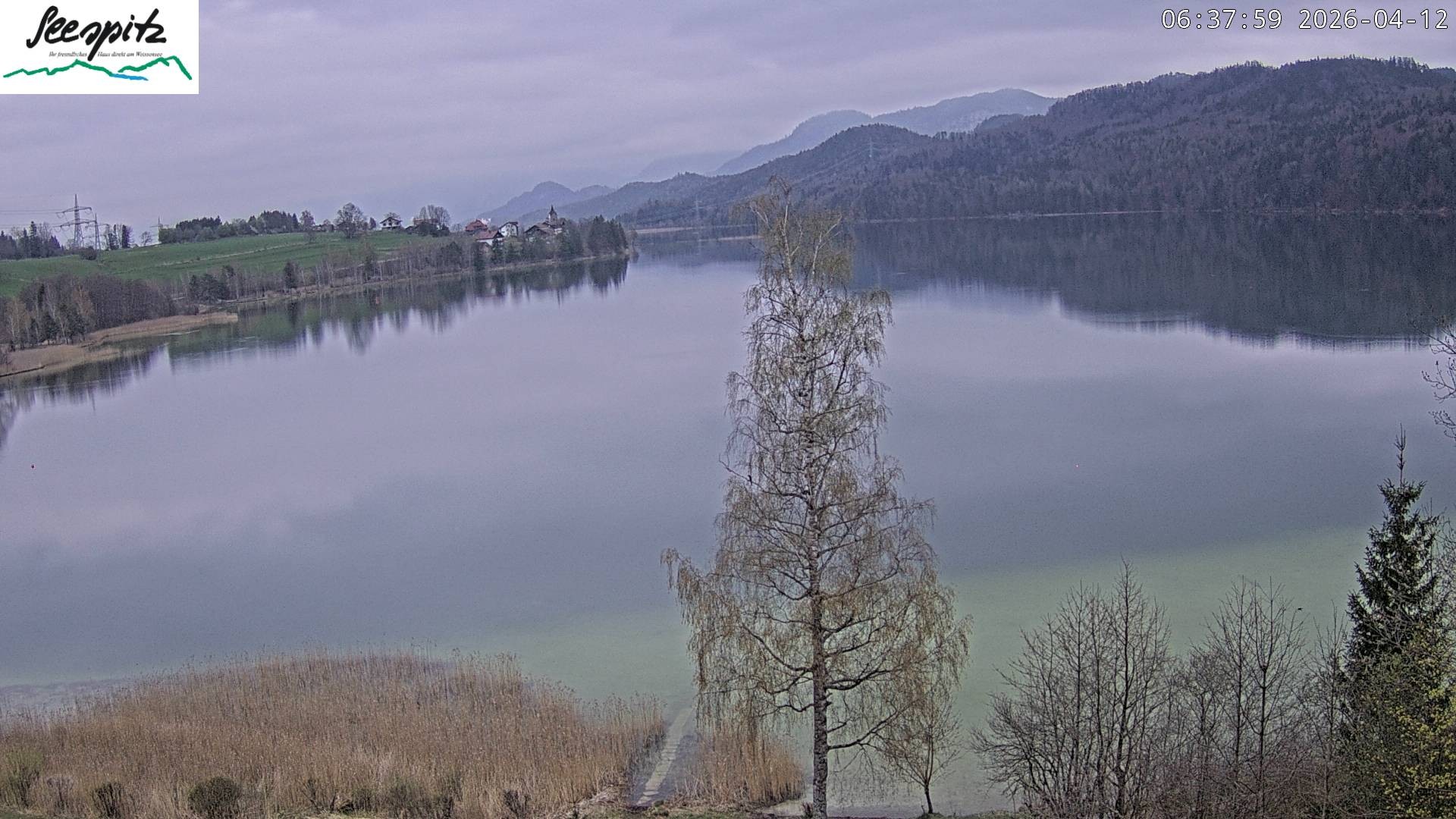 Archiv Foto Webcam Füssen: Blick auf den Weißensee vom Hotel Seespitz