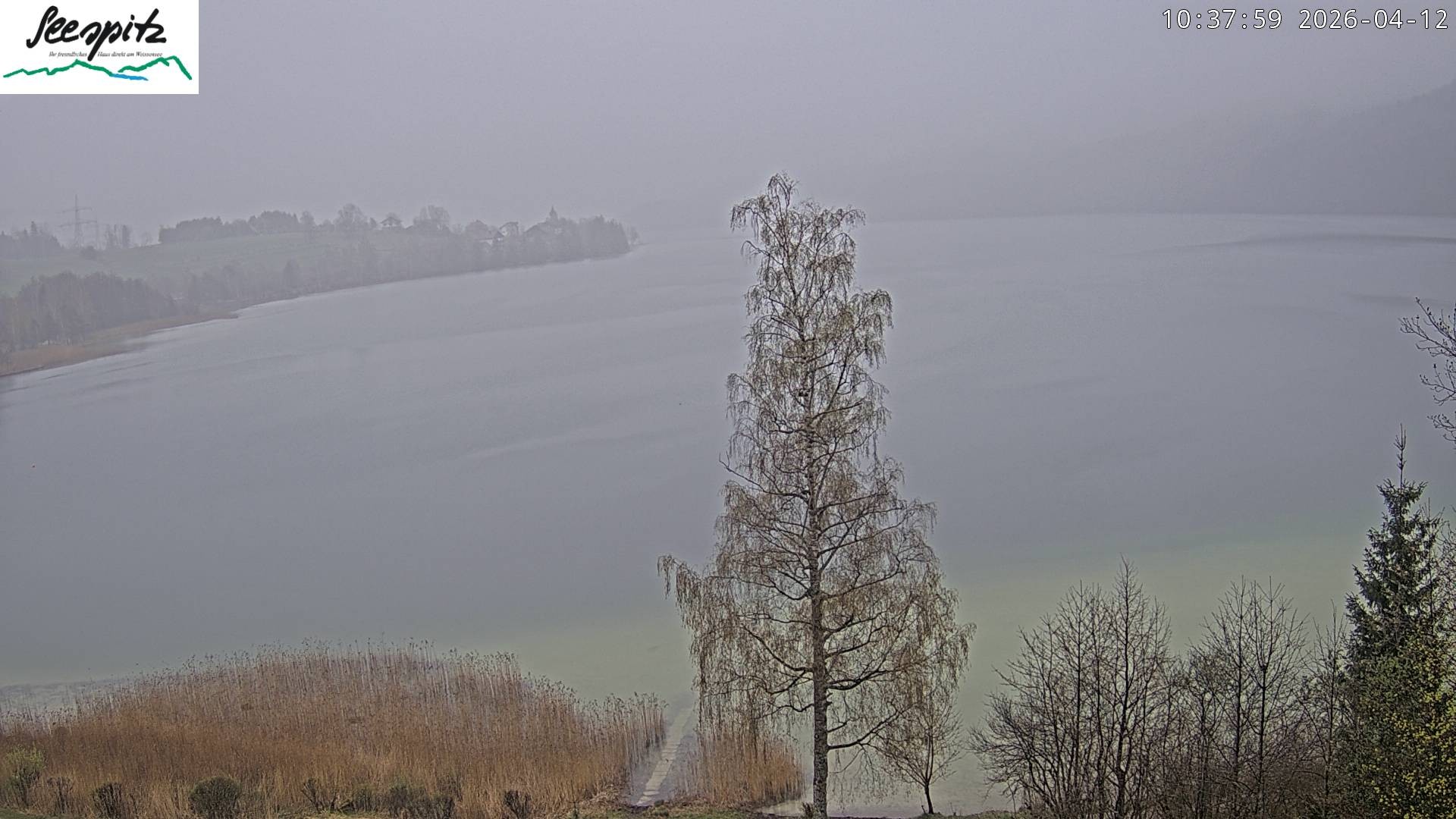 Archiv Foto Webcam Füssen: Blick auf den Weißensee vom Hotel Seespitz