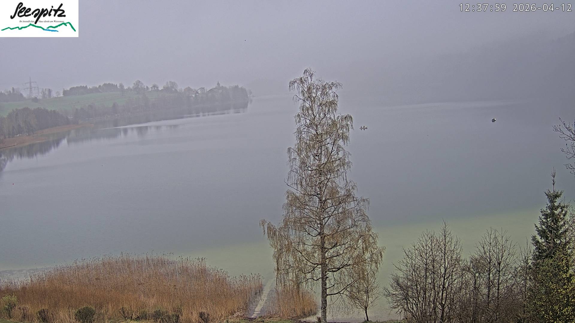 Archiv Foto Webcam Füssen: Blick auf den Weißensee vom Hotel Seespitz