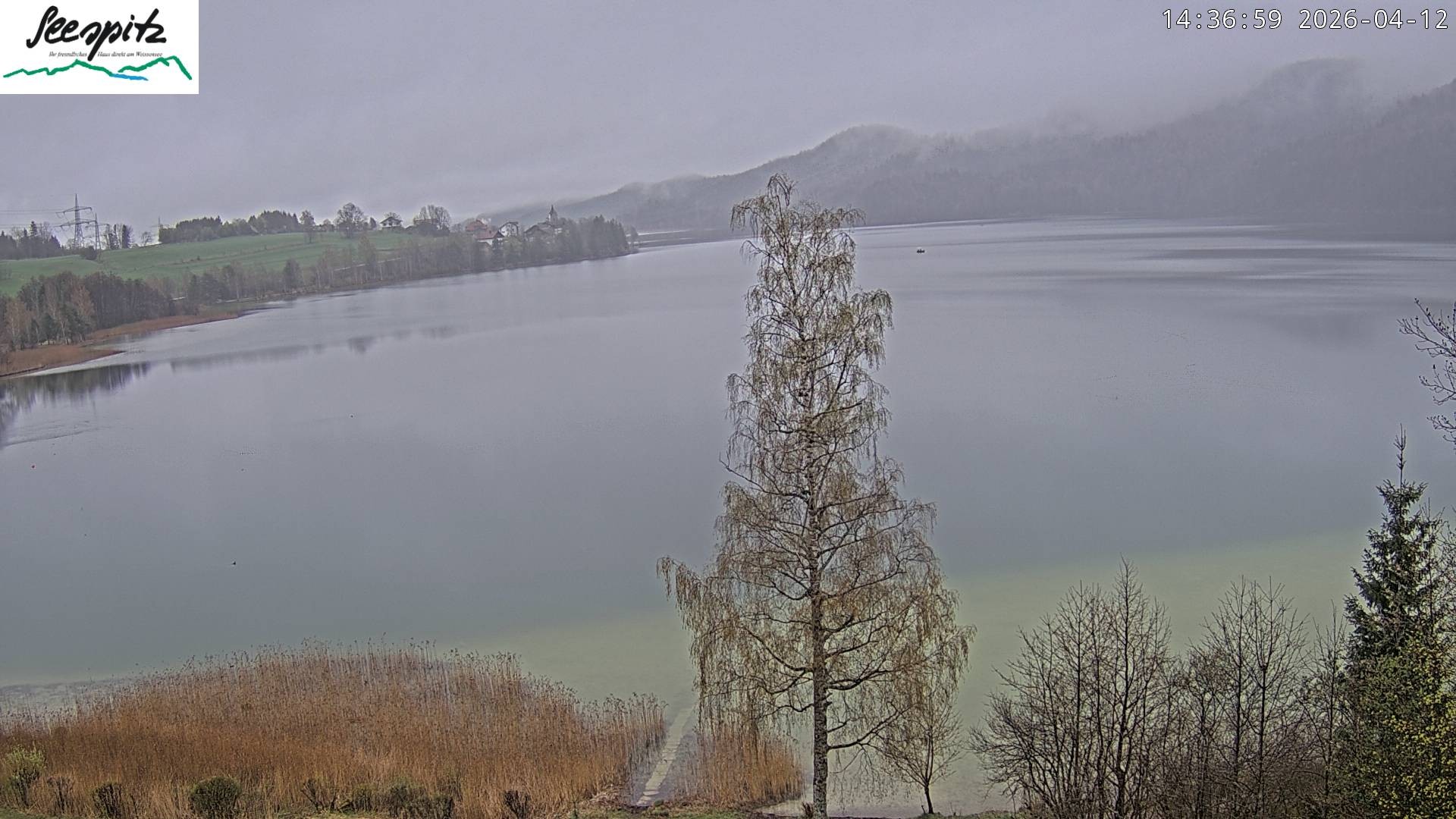 Archiv Foto Webcam Füssen: Blick auf den Weißensee vom Hotel Seespitz