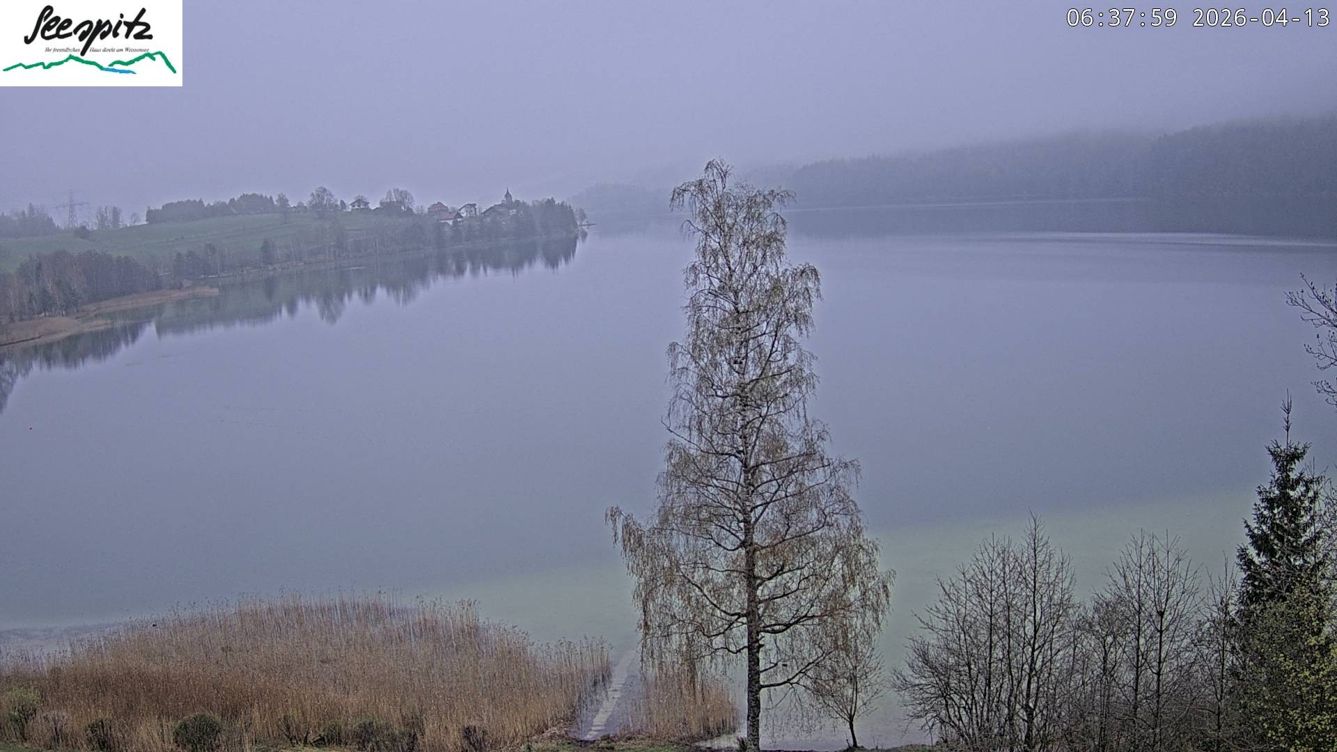 Archiv Foto Webcam Füssen: Blick auf den Weißensee vom Hotel Seespitz