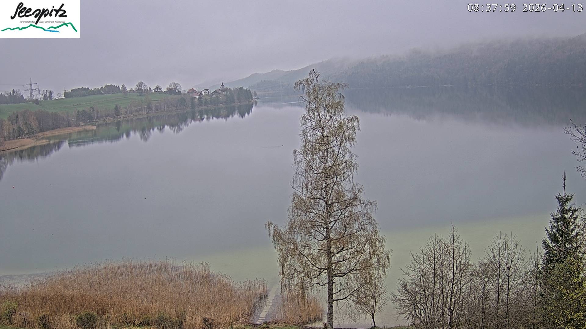 Archiv Foto Webcam Füssen: Blick auf den Weißensee vom Hotel Seespitz