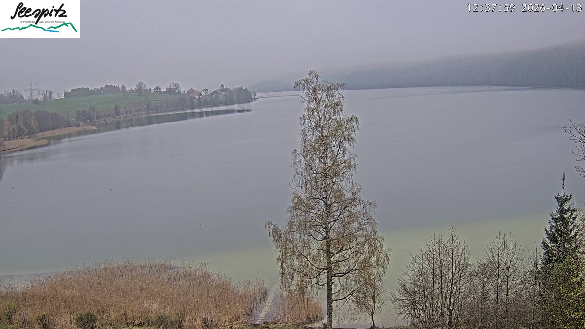 Archived image Webcam Weissensee near Füssen