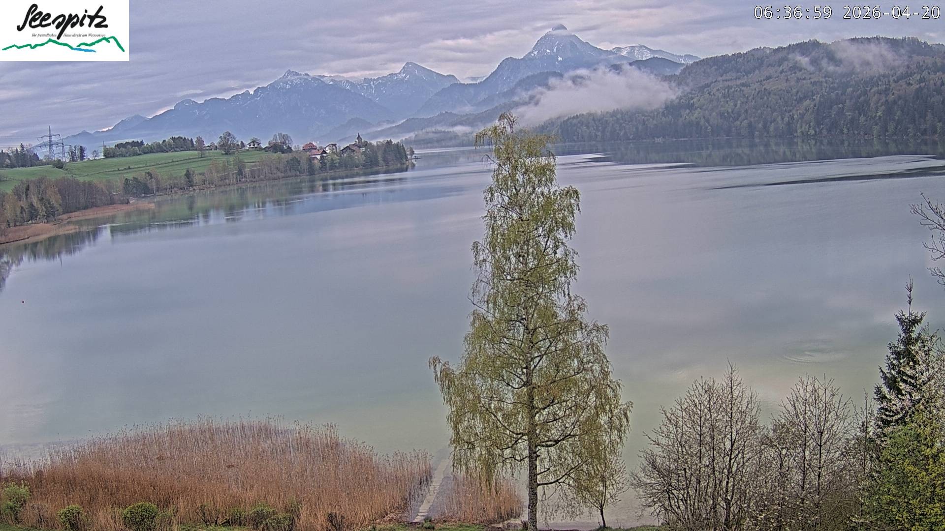 Archiv Foto Webcam Füssen: Blick auf den Weißensee vom Hotel Seespitz