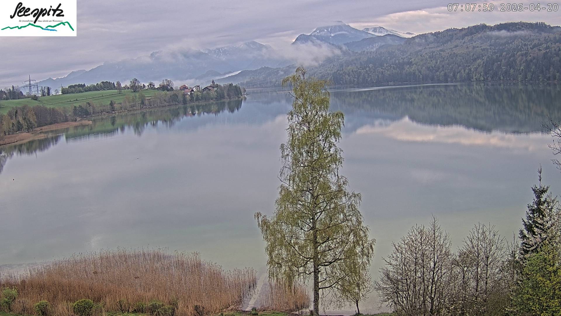 Archiv Foto Webcam Füssen: Blick auf den Weißensee vom Hotel Seespitz