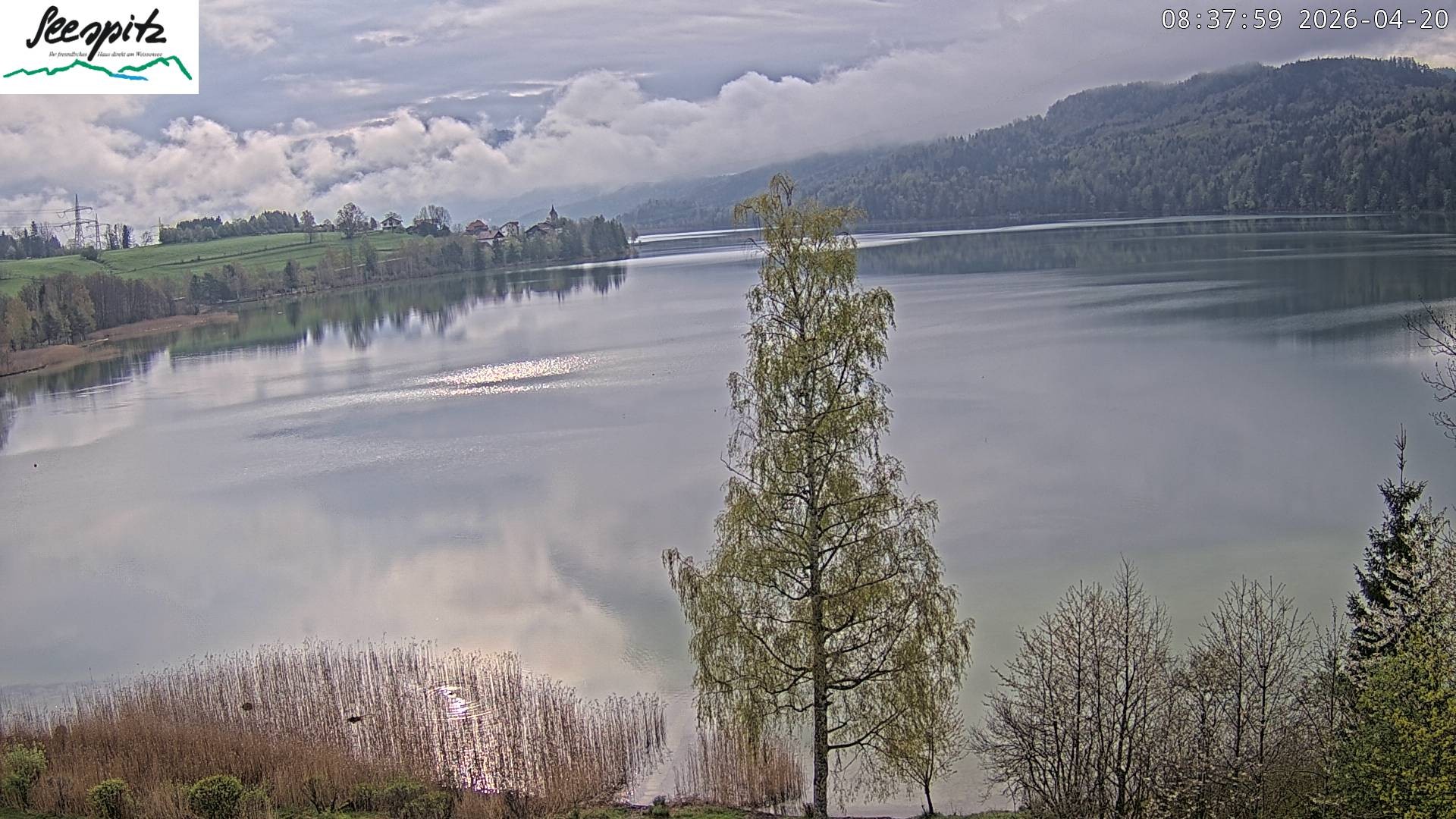 Archiv Foto Webcam Füssen: Blick auf den Weißensee vom Hotel Seespitz