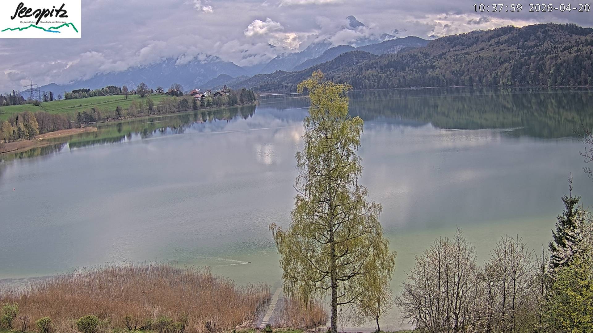 Archived image Webcam Weissensee near Füssen