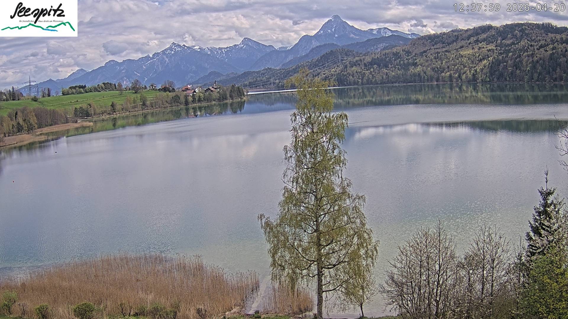 Archiv Foto Webcam Füssen: Blick auf den Weißensee vom Hotel Seespitz